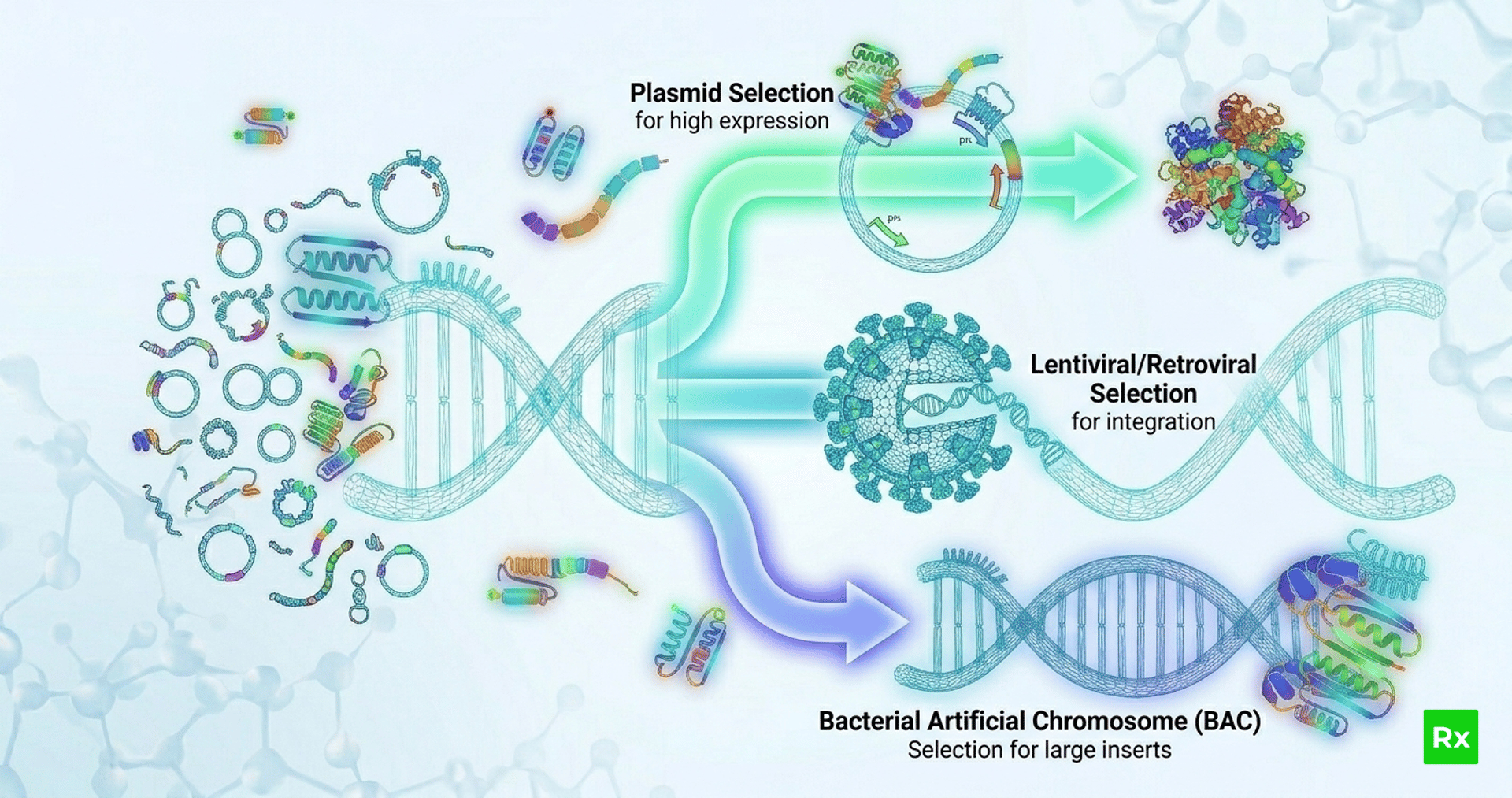an image of a jellyfish in the dark