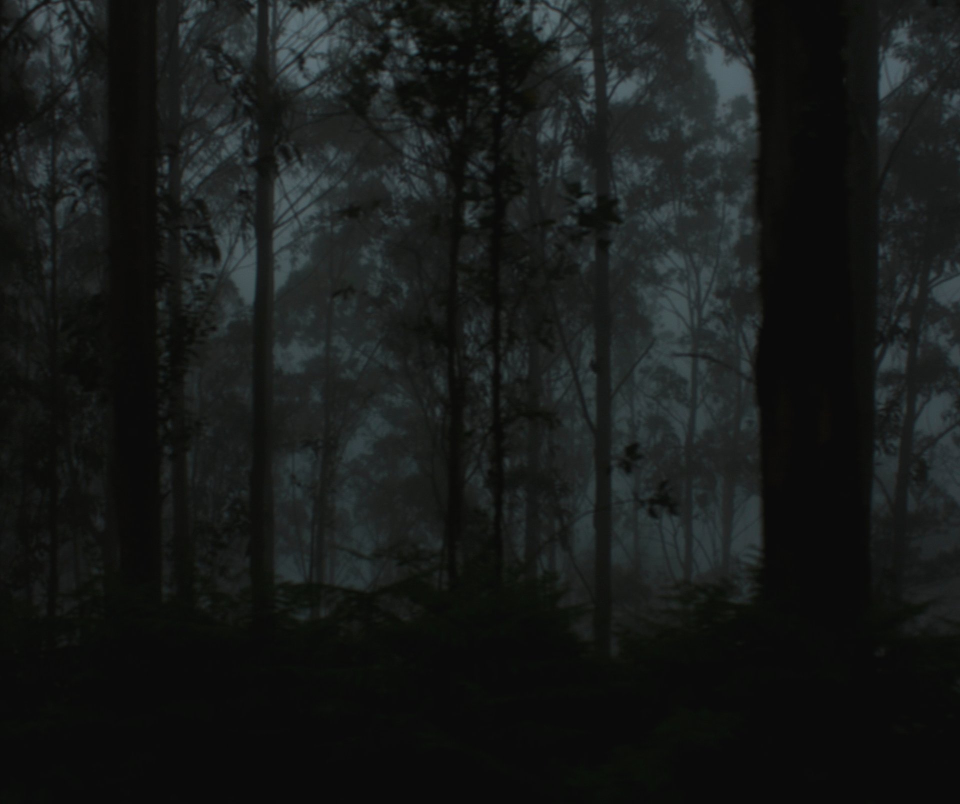 Dense bamboo forest canopy under dim light