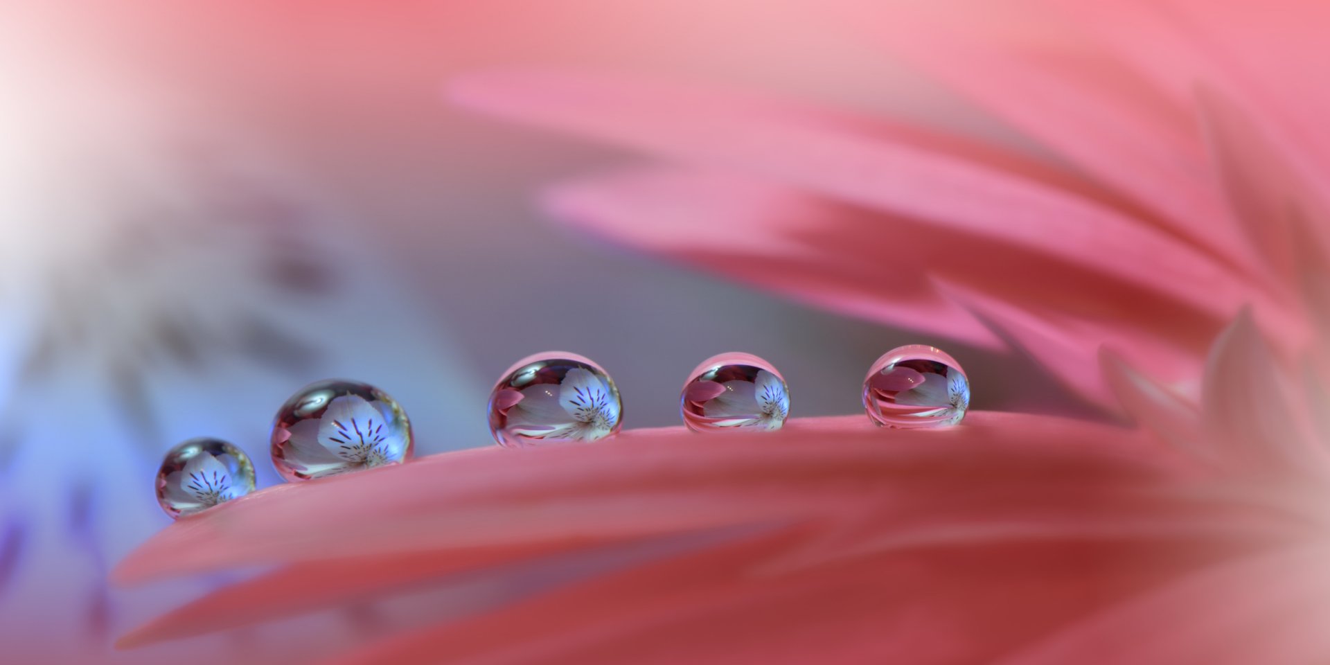 an abstract photo of a curved building with a blue sky in the background