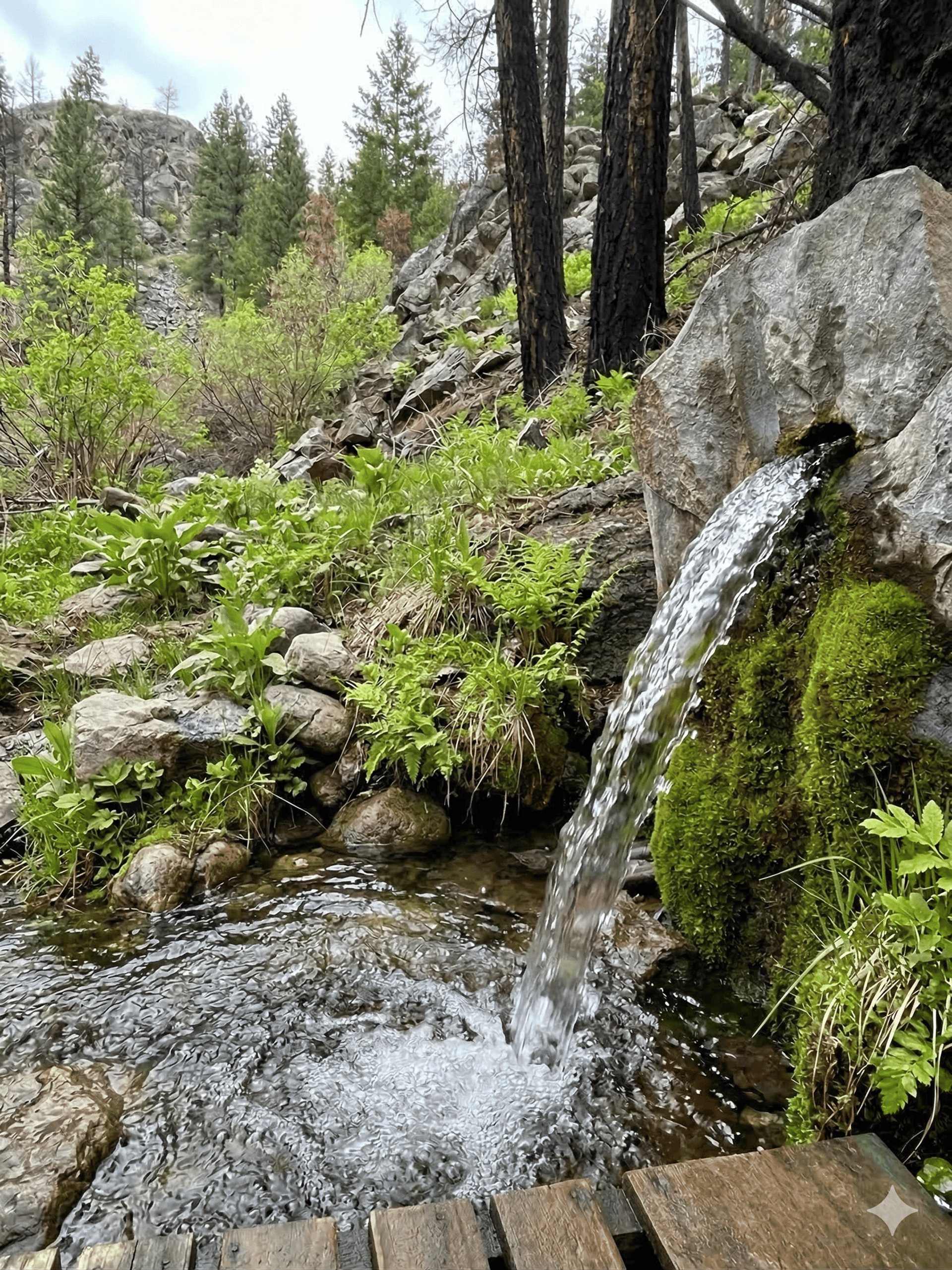black and white bed linen