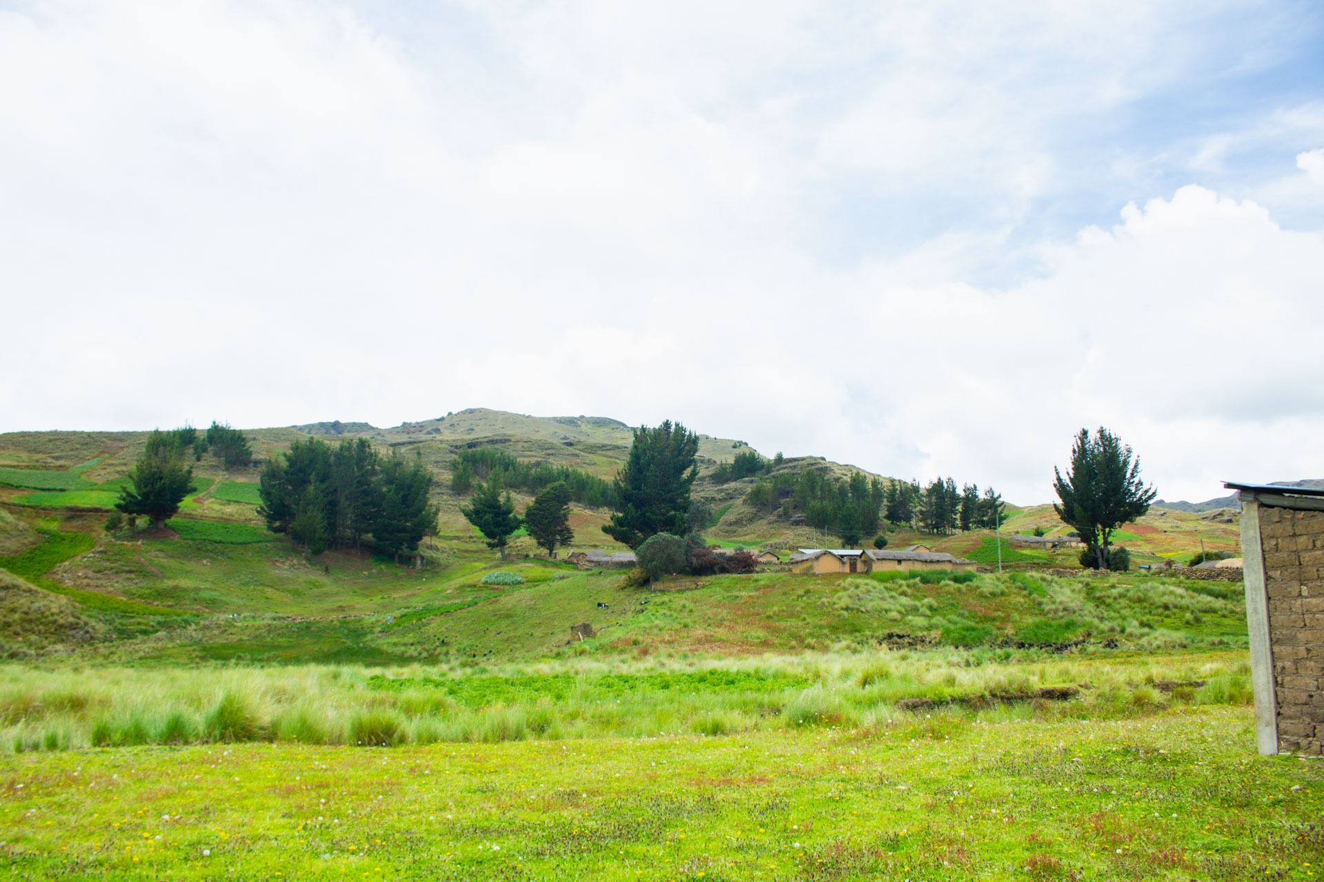 an abstract photo of a curved building with a blue sky in the background