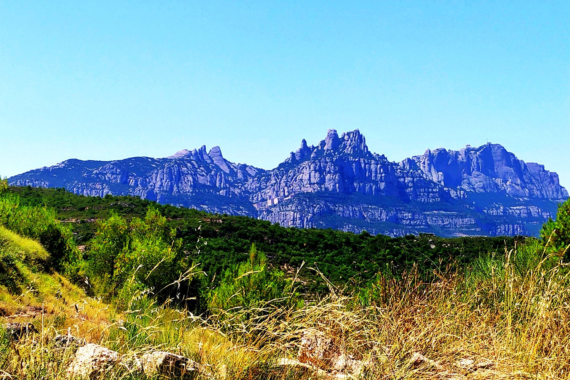 green grass and brown mountain during daytime