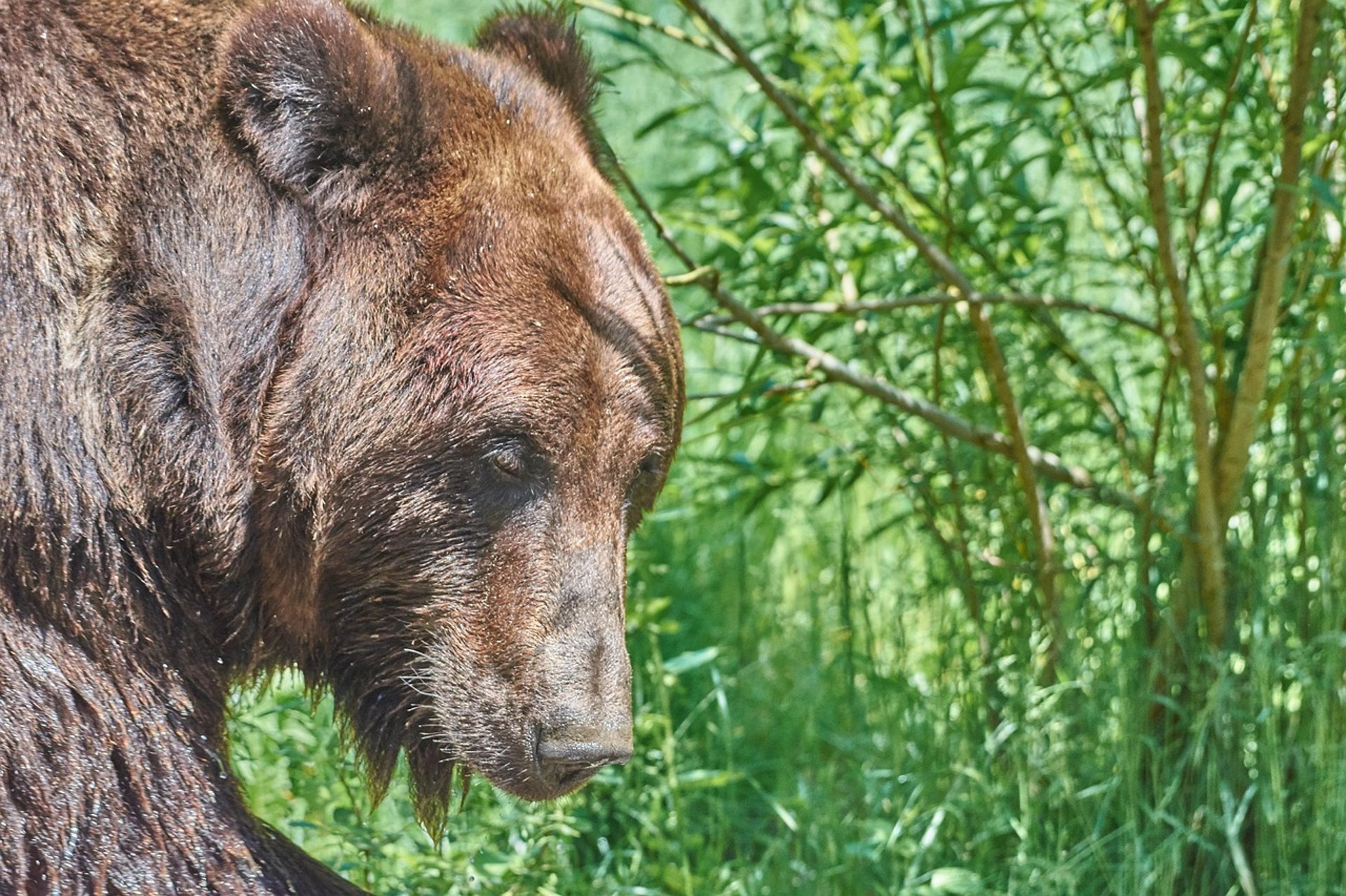 black and white bed linen