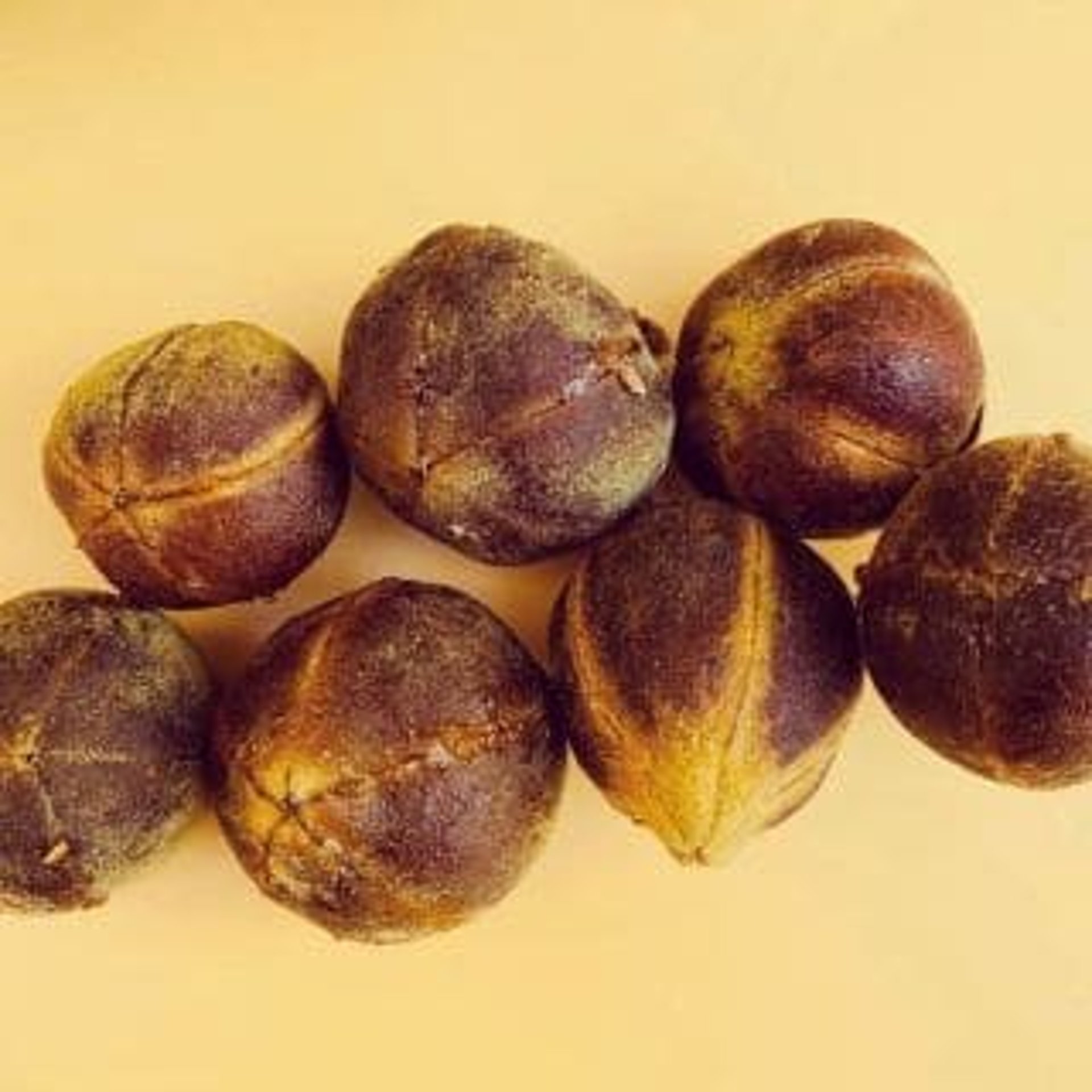 gorontula dried fruits on a yellow background
