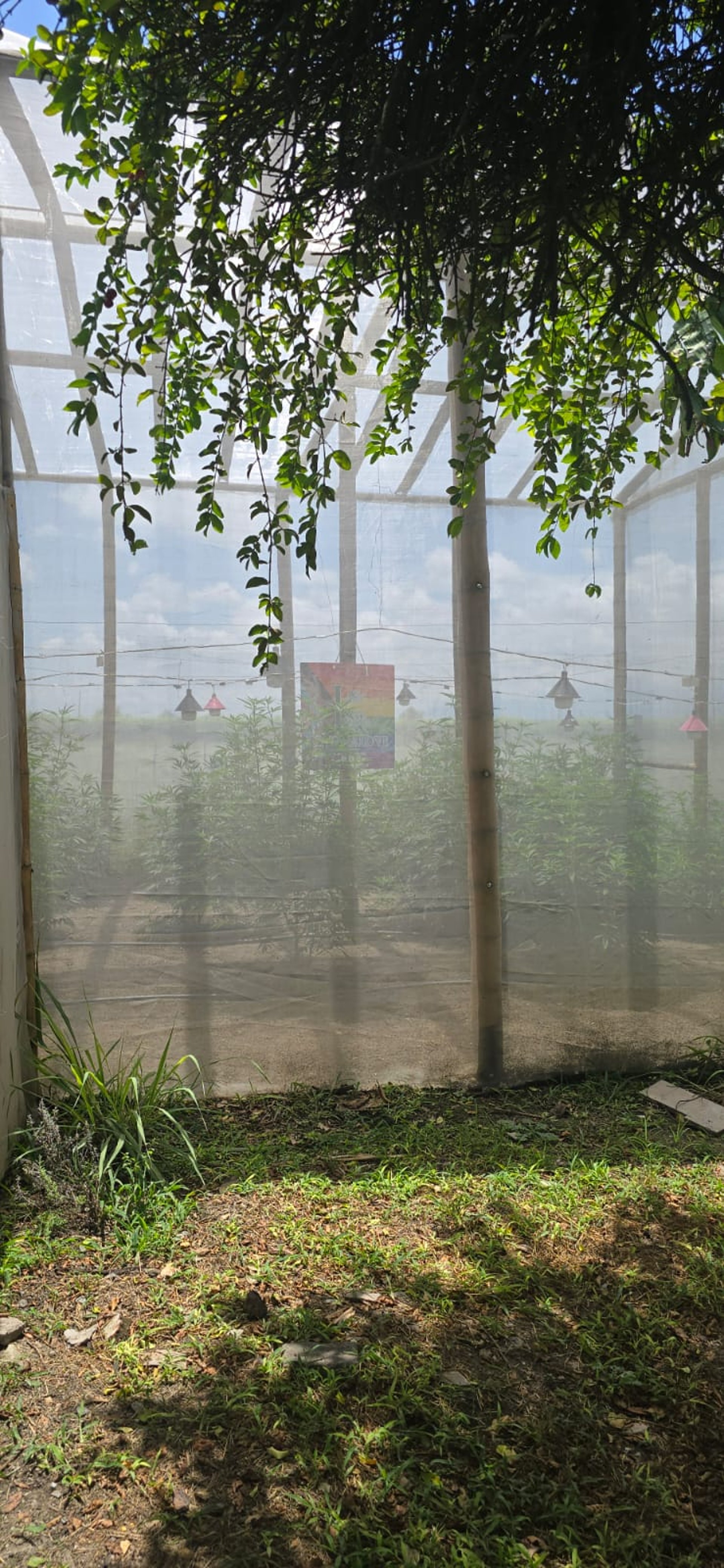 black blue and yellow textile