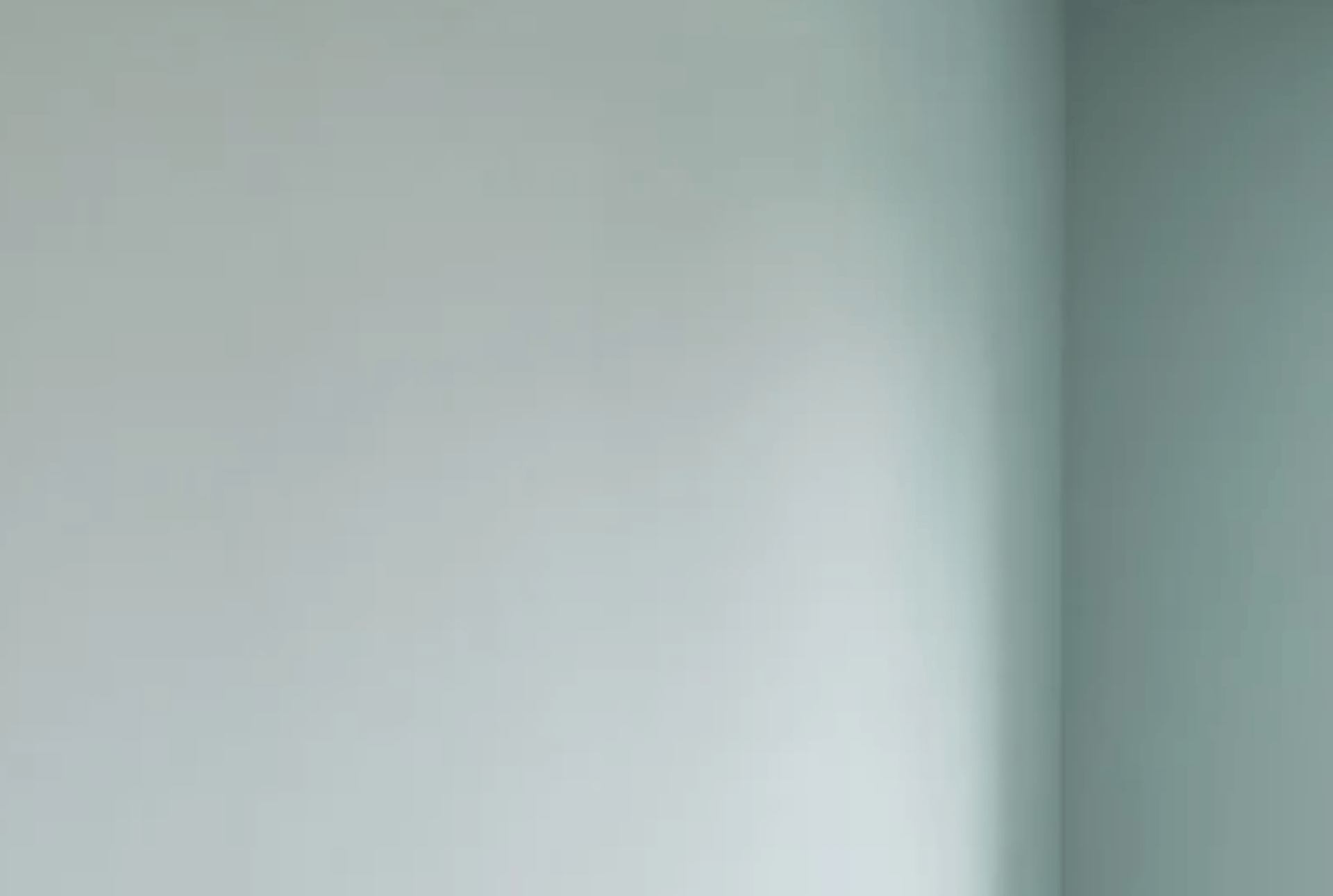 a fireplace with a potted plant on top of it