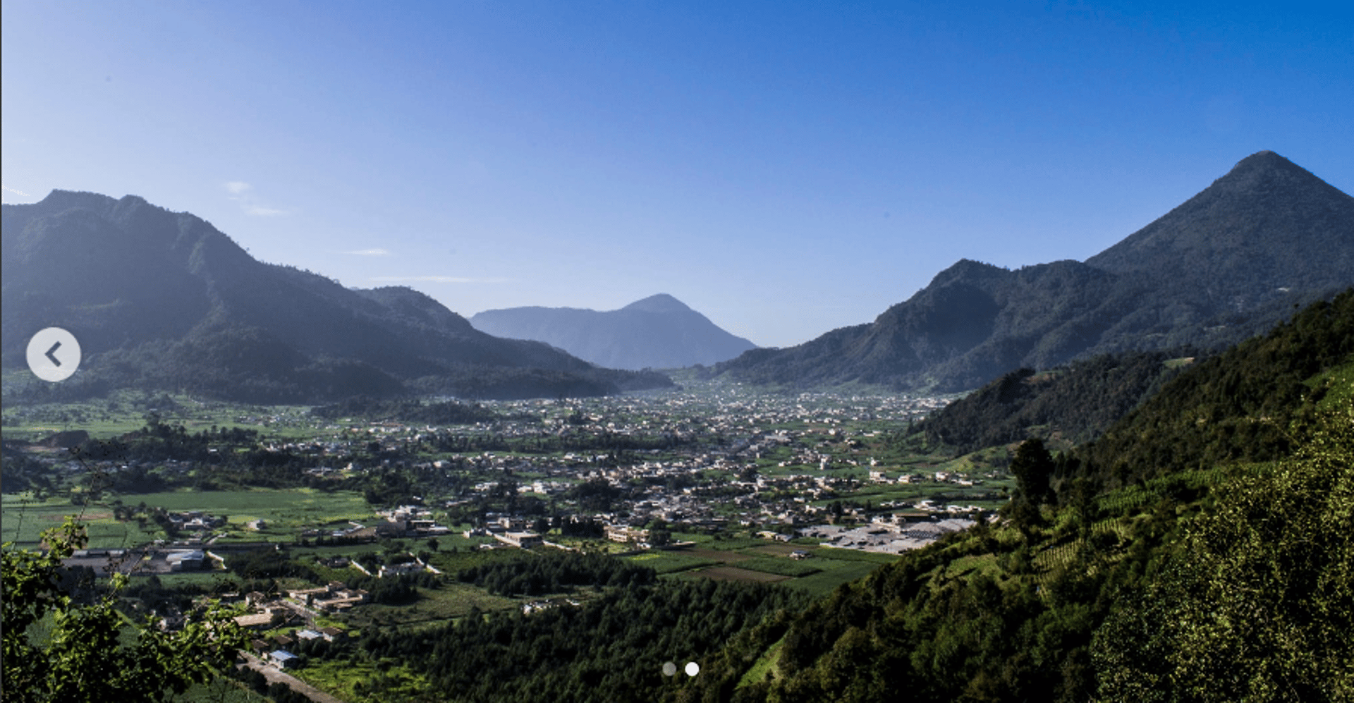 black and brown leather padded tub sofa