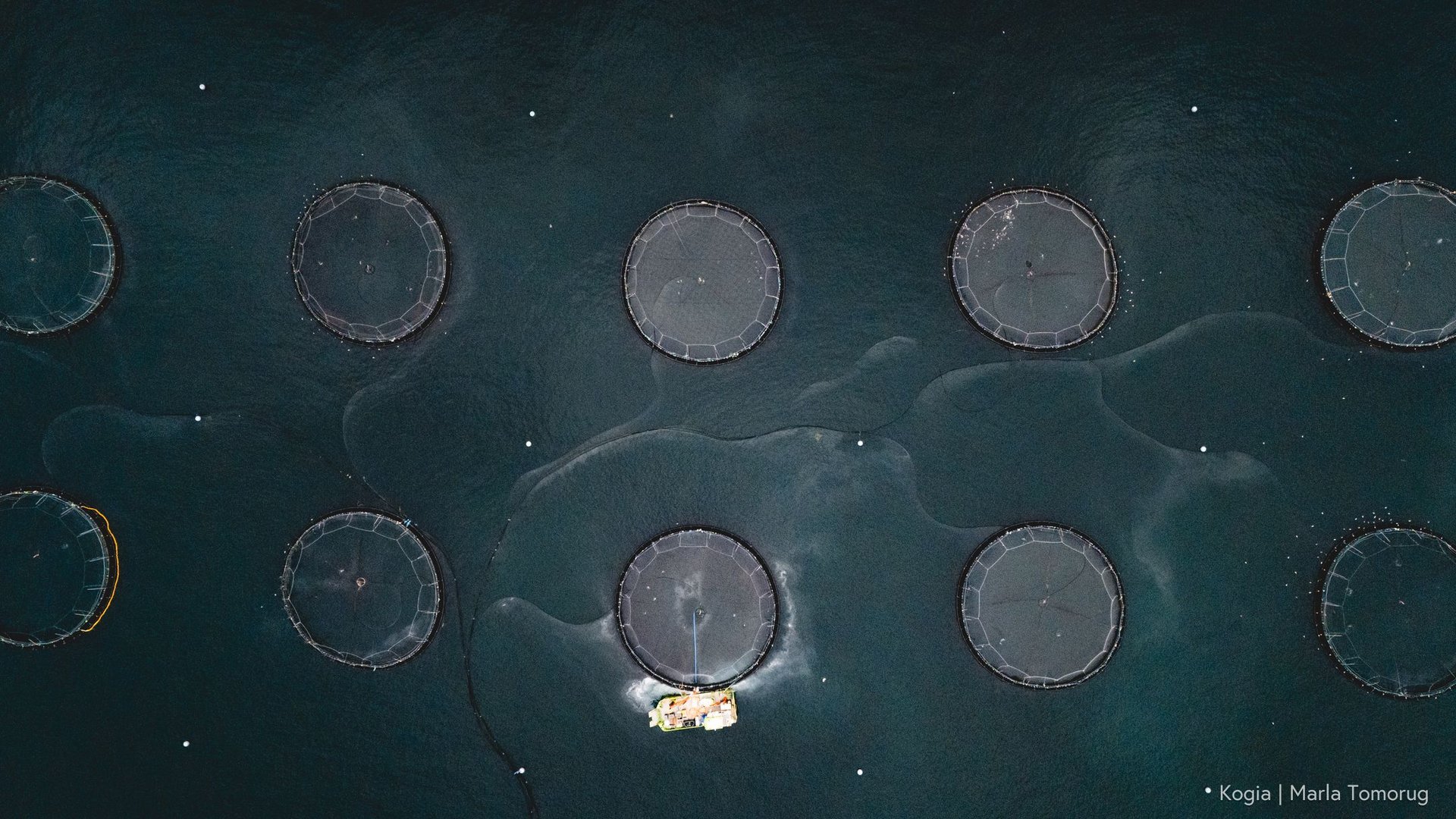 black blue and yellow textile