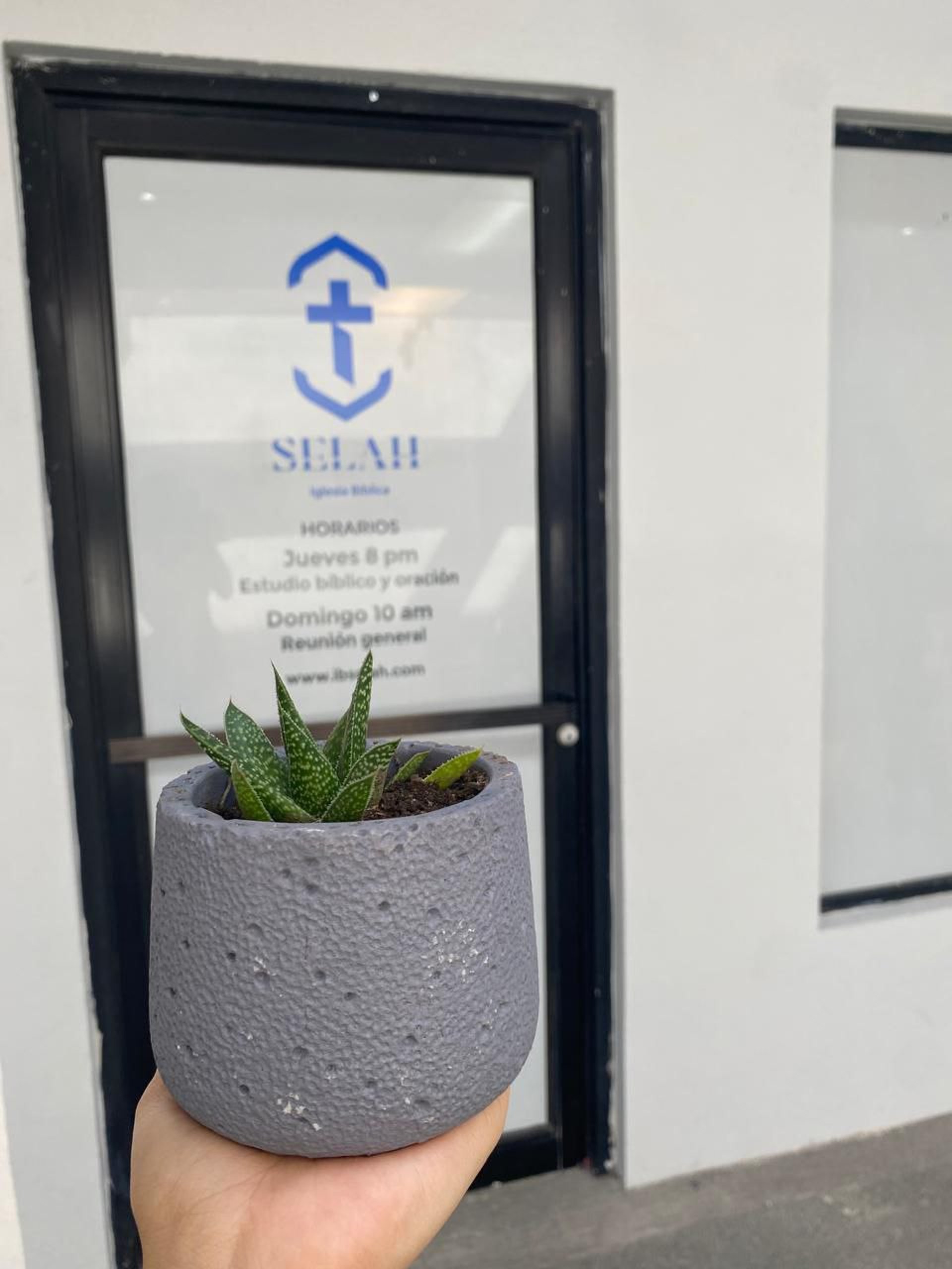 person in white long-sleeved shirt holding book