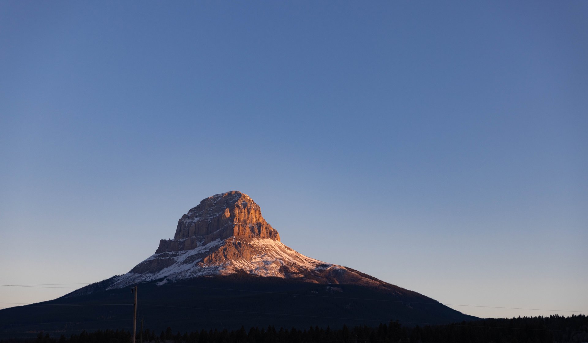 a close up of a black and brown abstract painting