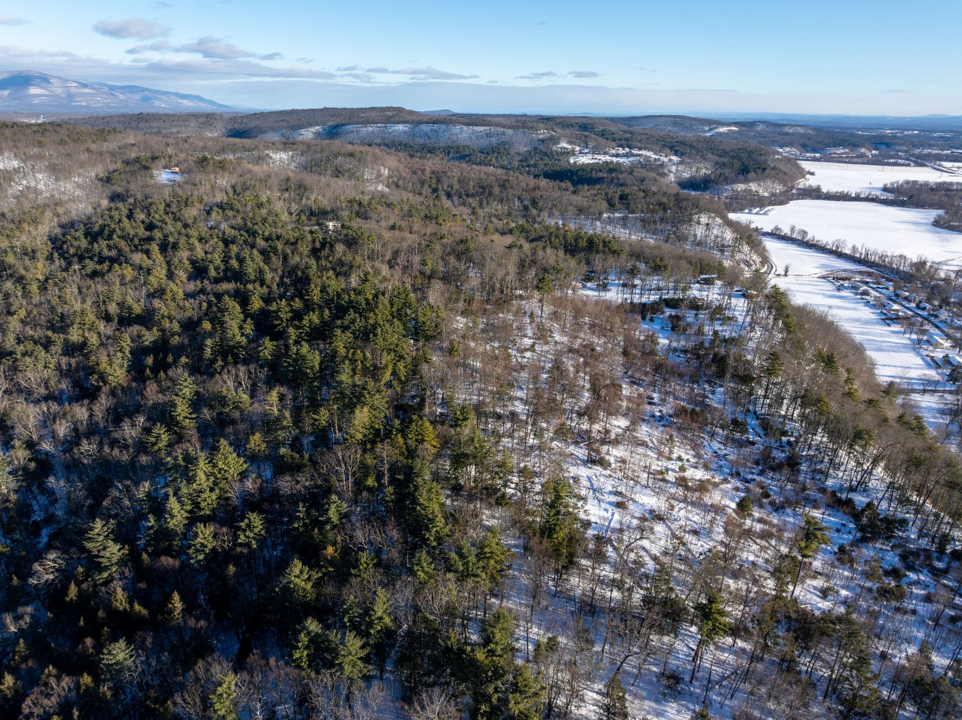 green grass field near green trees under white sky during daytime