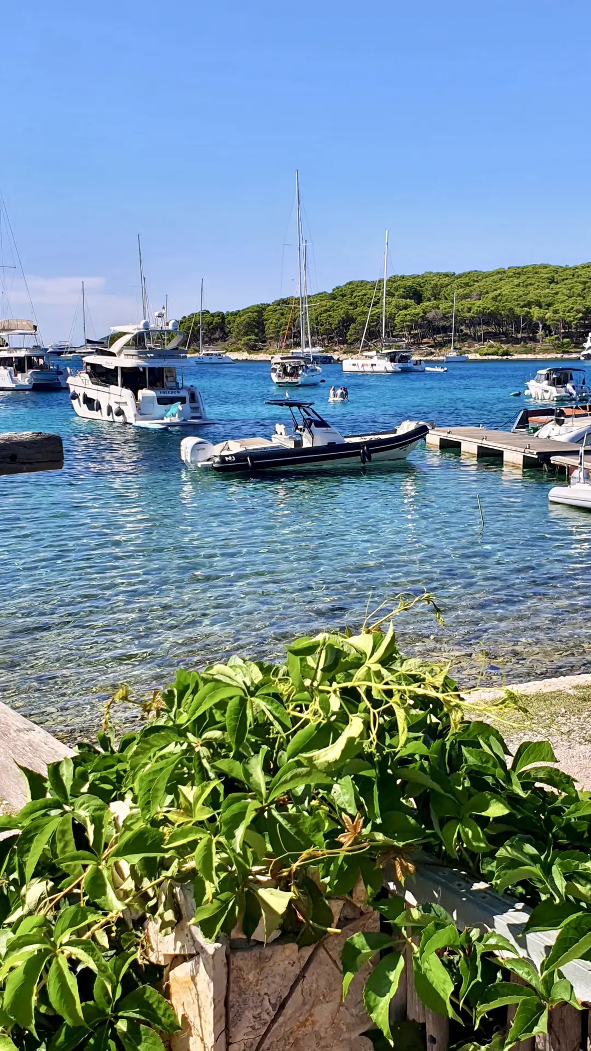 Nuova Jolly Exclusive RIB docked at Pakleni Islands during lunch break on a private boat tour from Split, Croatia.