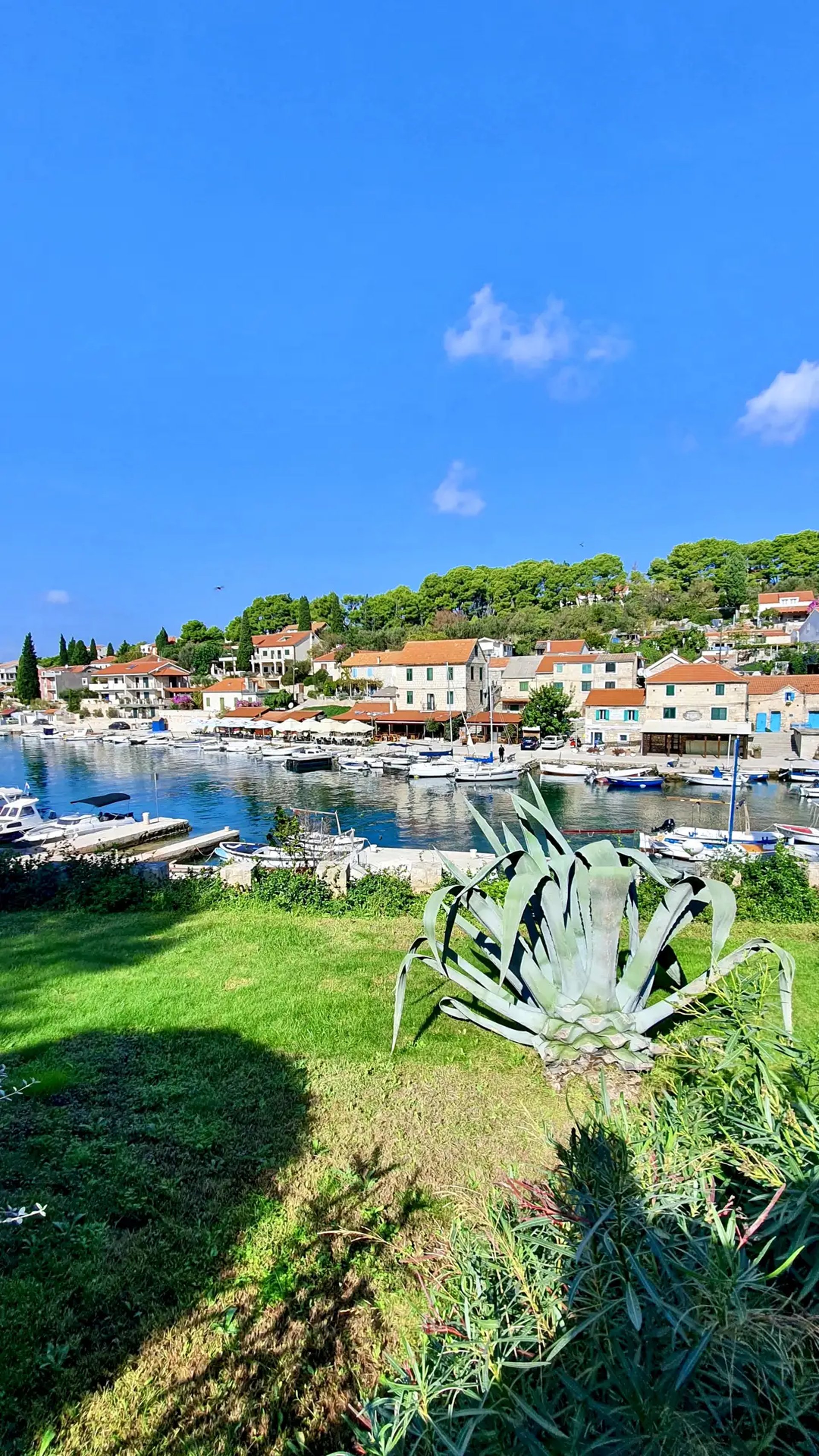 Panoramic view of traditional Dalmatian village of Maslinica, Solta during a SunMarine private boat tour from Split, Croatia.
