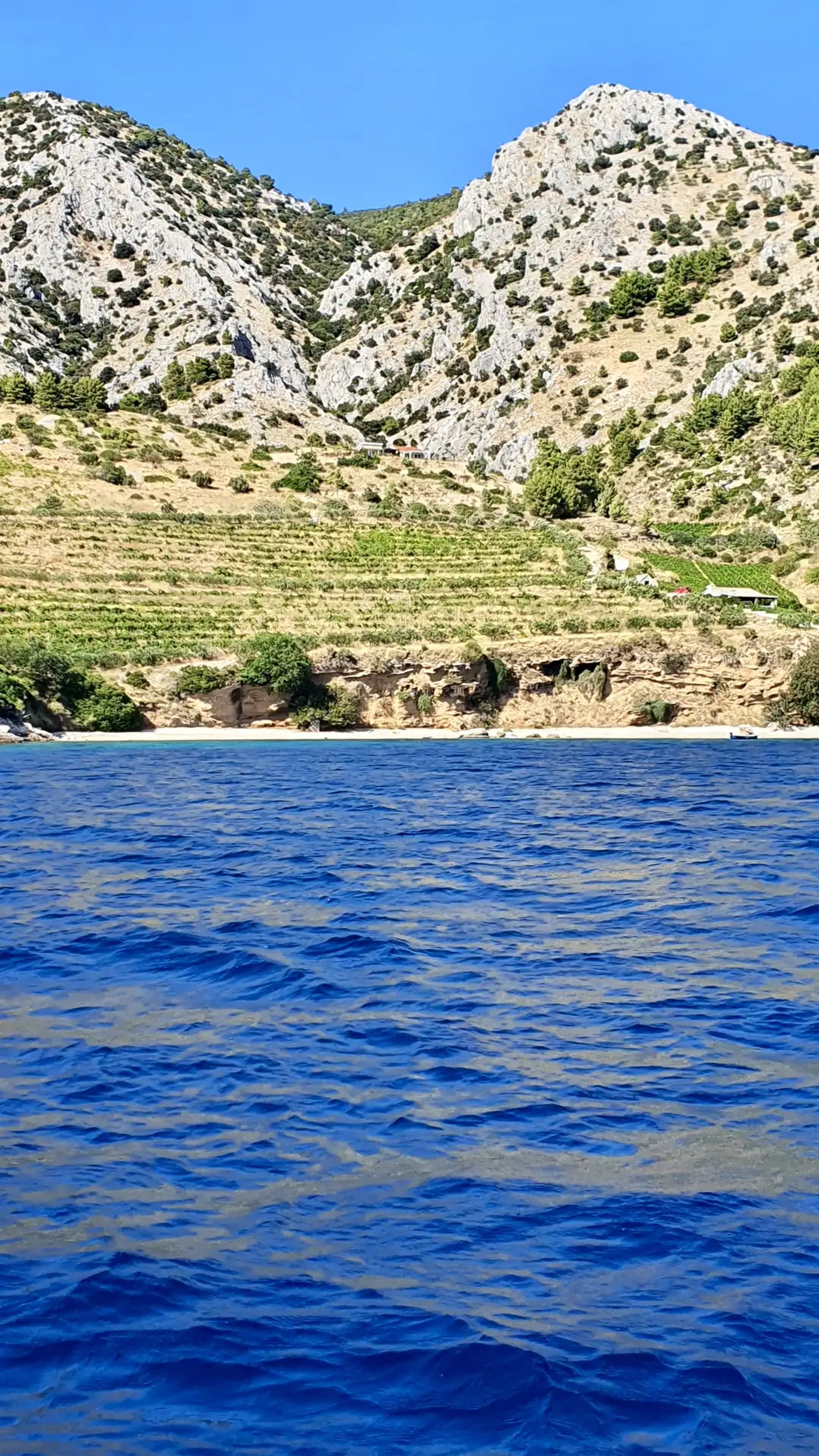 South hills with vineyards on Brac viewed from the sea during a private boat tour from Split