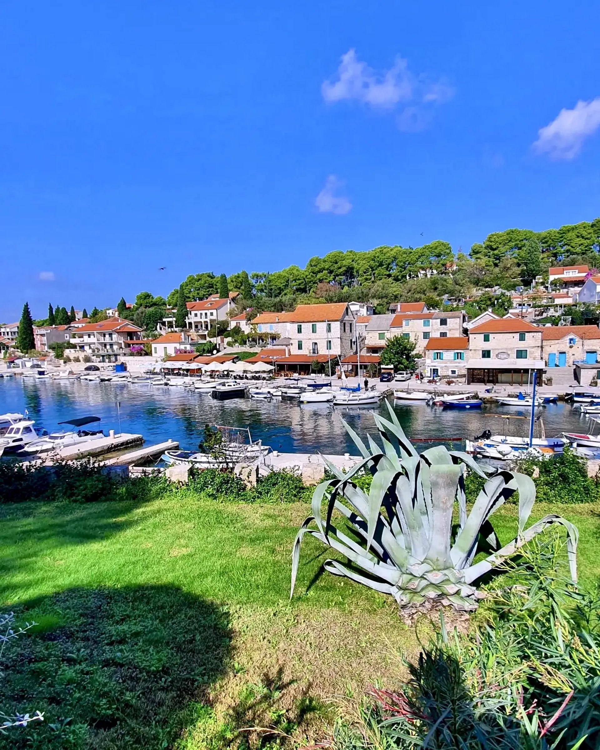 Panoramic view of traditional Dalmatian village of Maslinica, Solta during a SunMarine private boat tour from Split, Croatia.