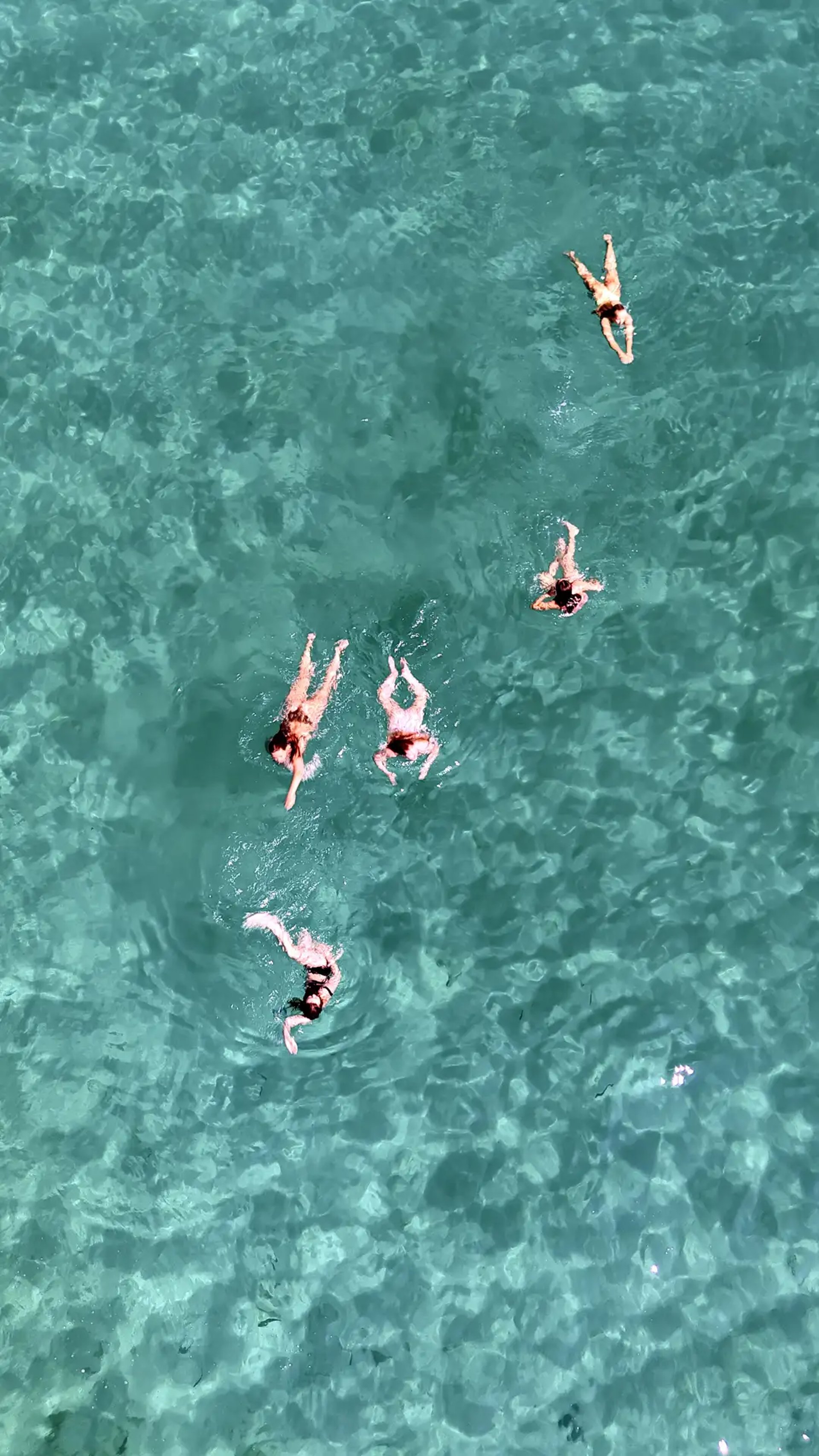 Aerial view of girls swimming and snorkeling in a bay near Milna on Brac during a private boat tour from Split, Croatia