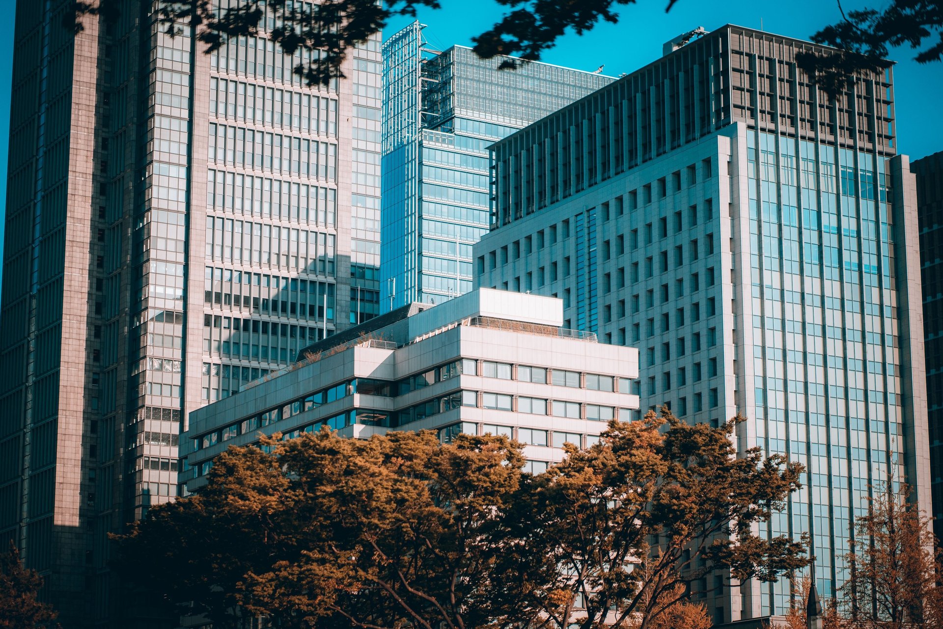 low angle photo of city high rise buildings during daytime