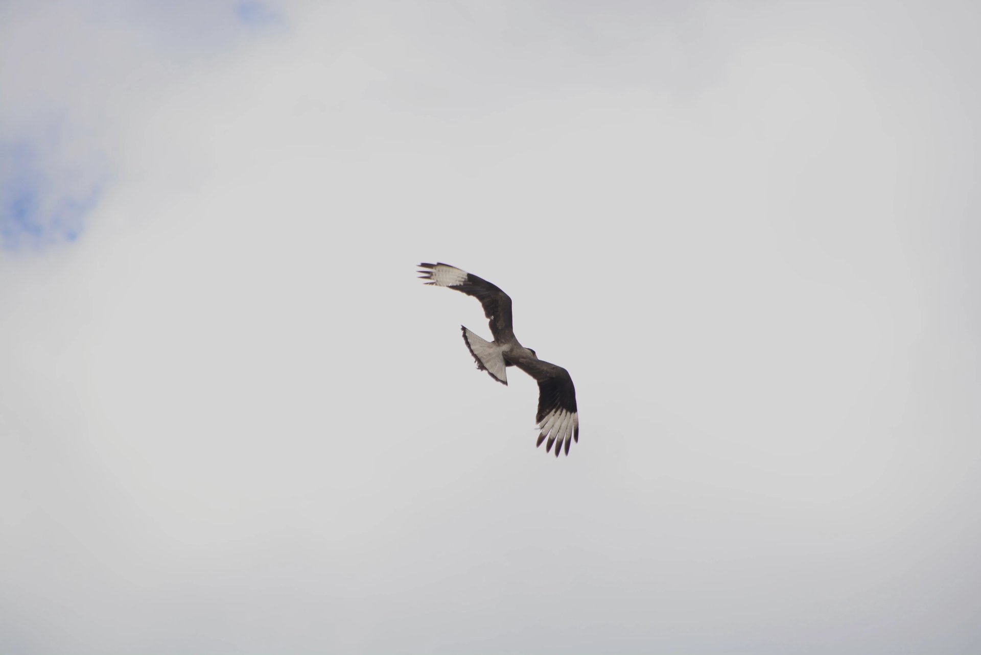 woman wearing yellow long-sleeved dress under white clouds and blue sky during daytime