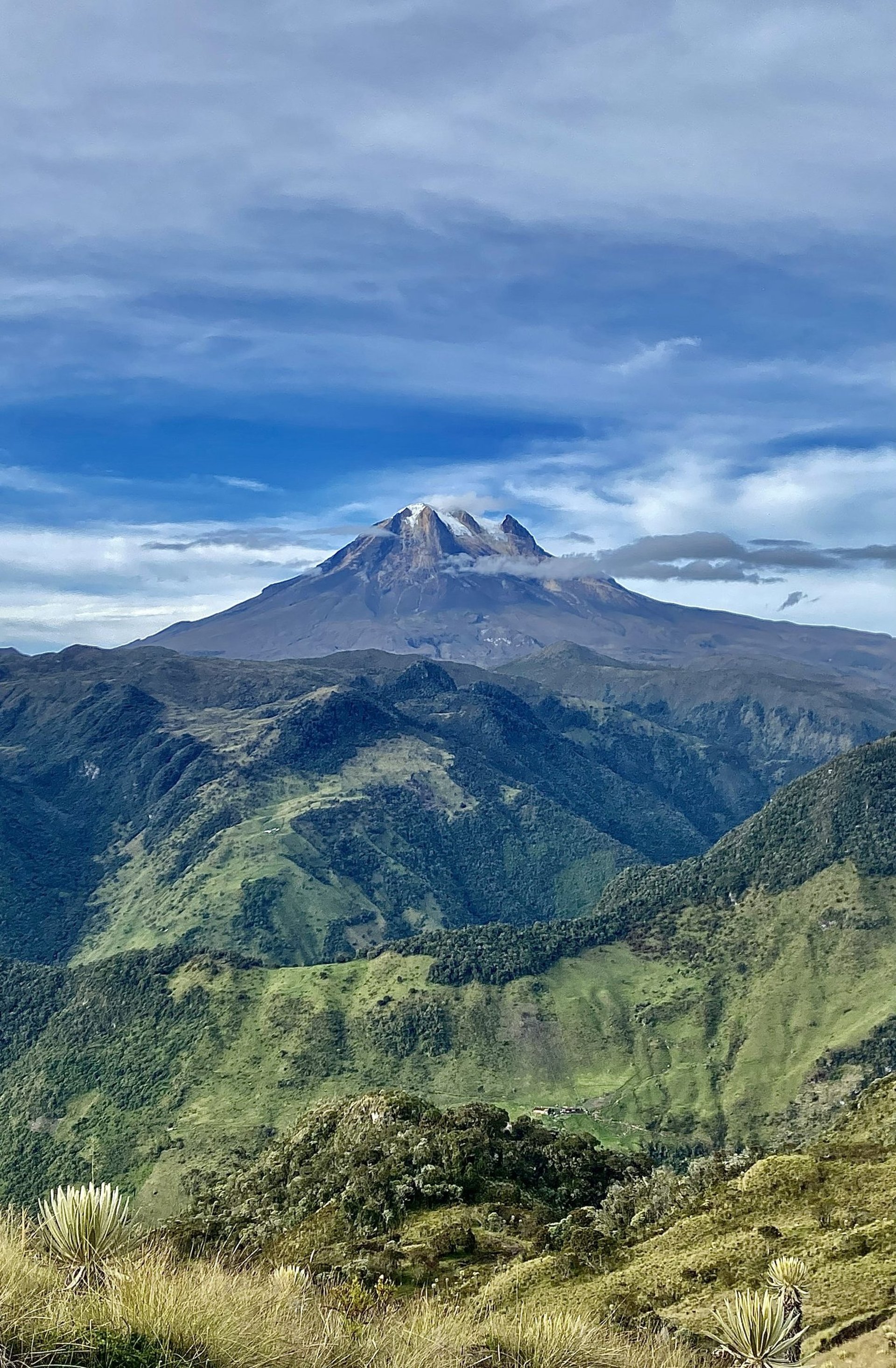 an abstract photo of a curved building with a blue sky in the background