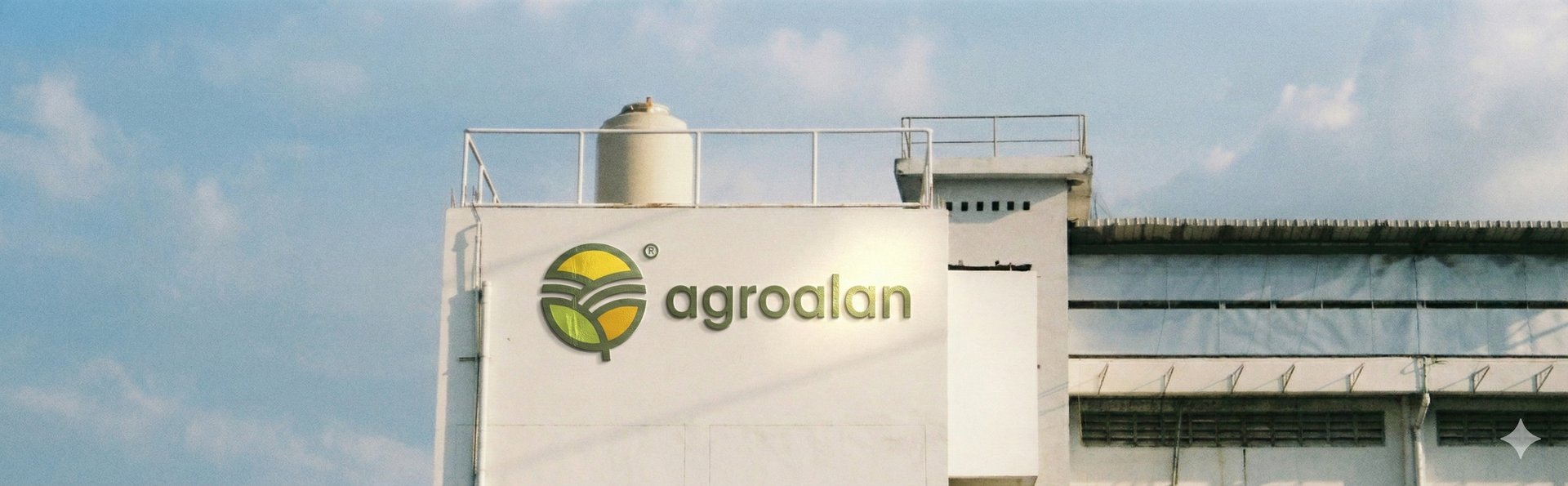 aerial photography of road in between trees