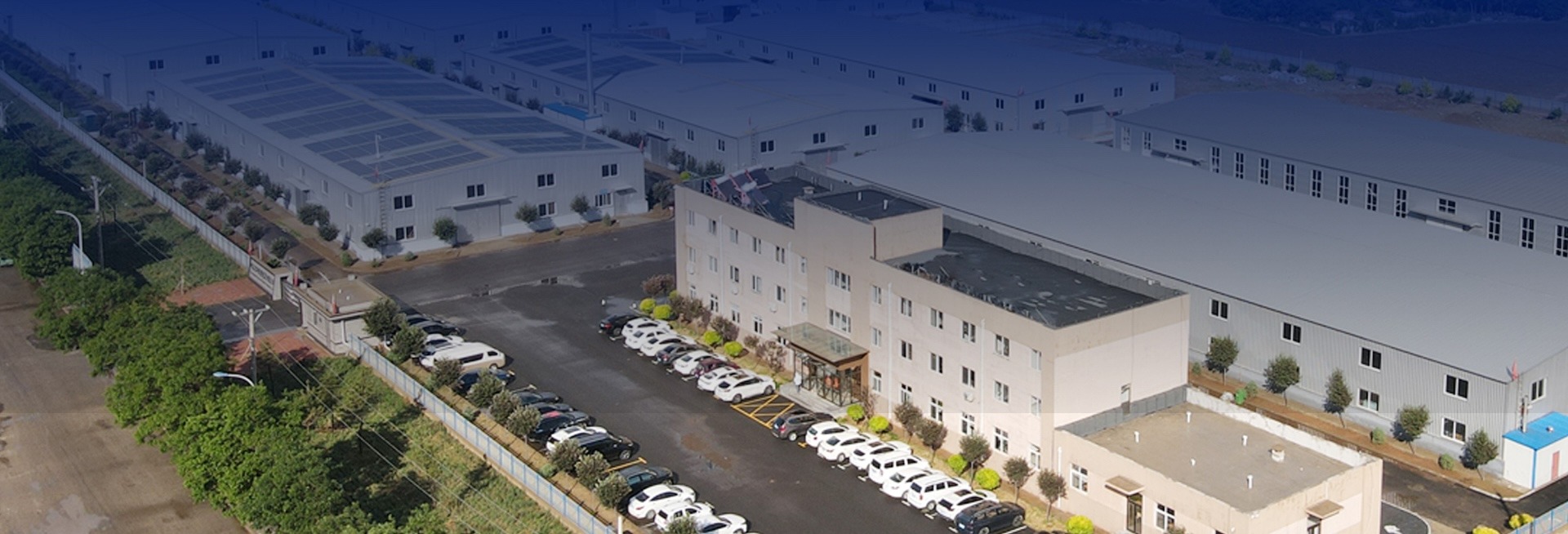 woman wearing yellow long-sleeved dress under white clouds and blue sky during daytime