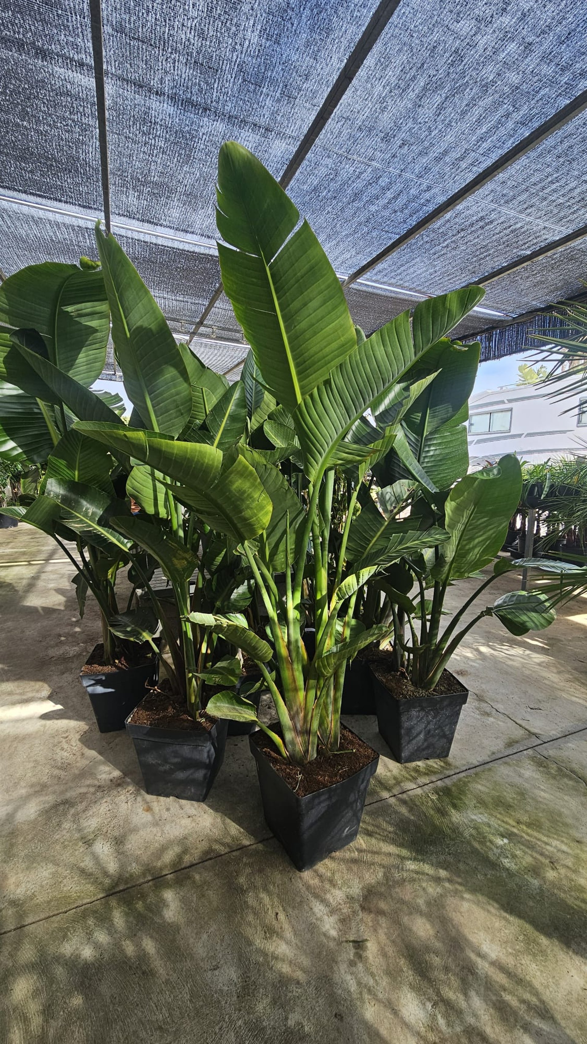 gray computer monitor