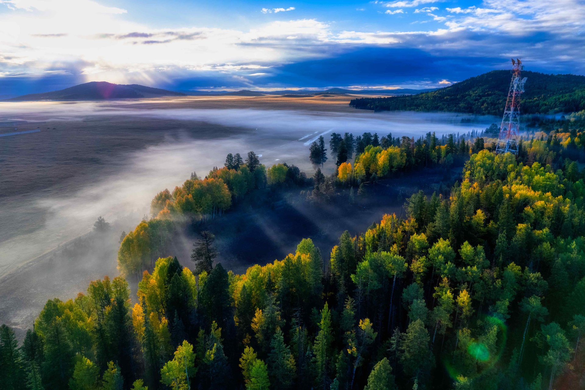 a close up of a black and brown abstract painting
