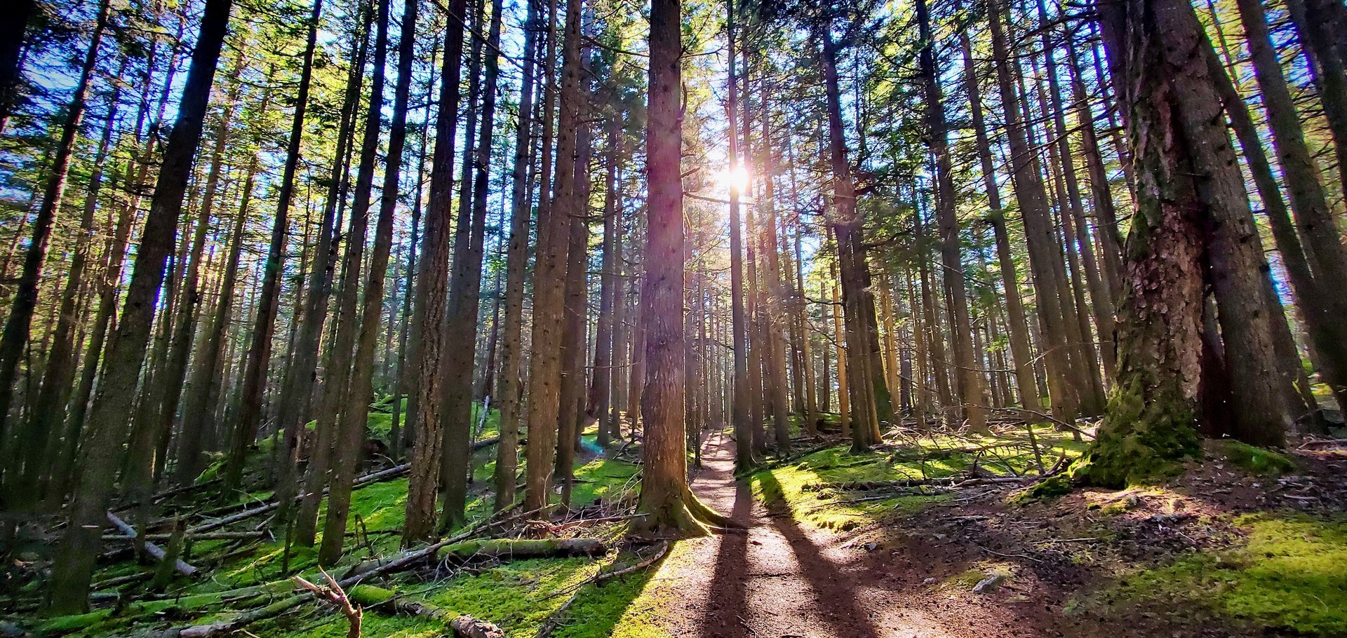 woman in black tank top and black leggings doing yoga