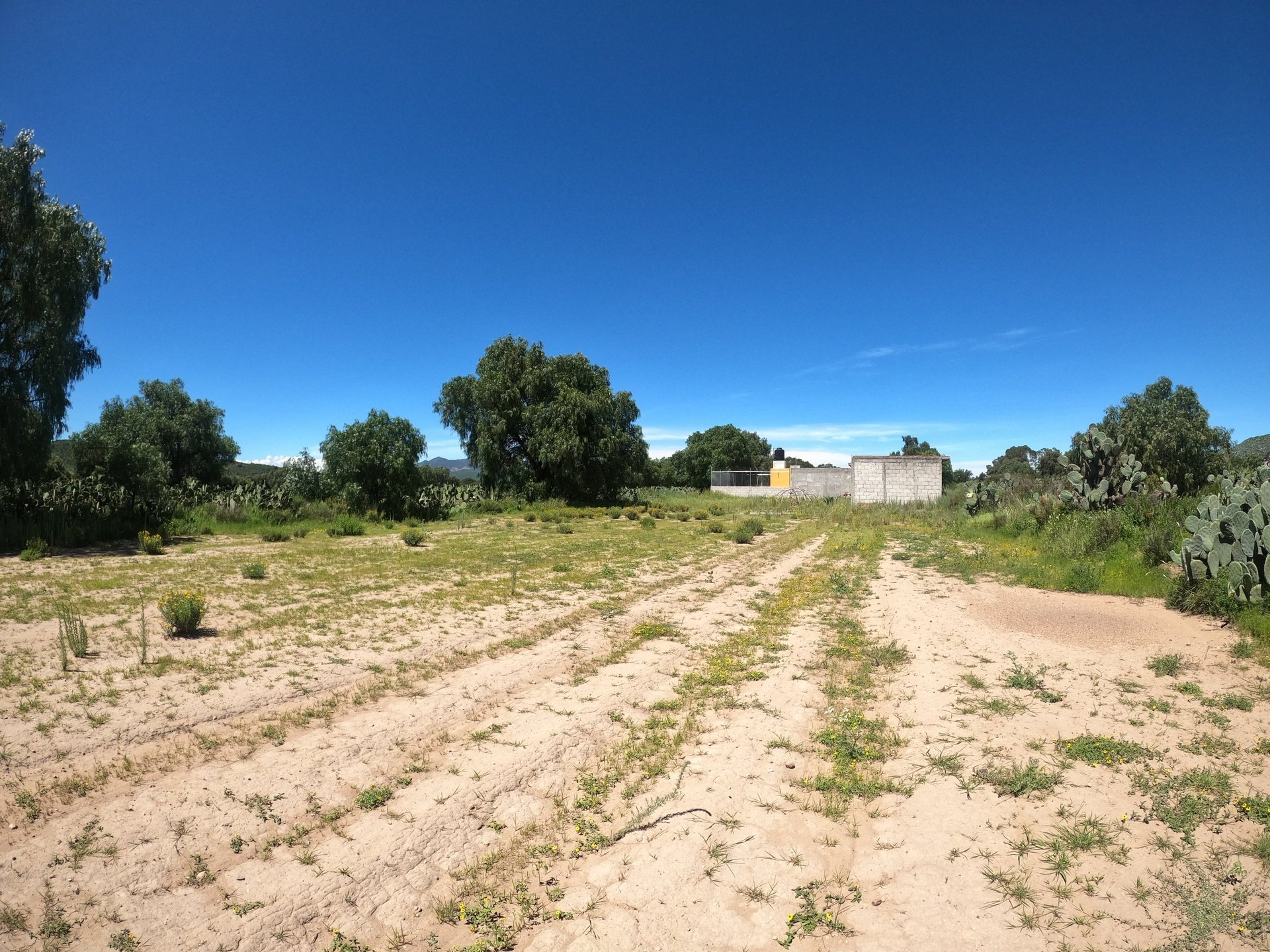 man in white shirt carrying girl in gray shirt