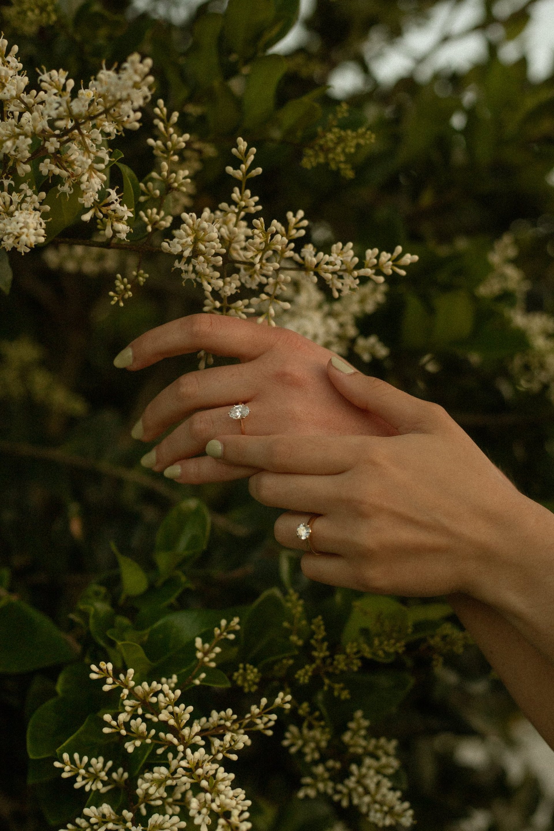 couple wearing silver-colored rings