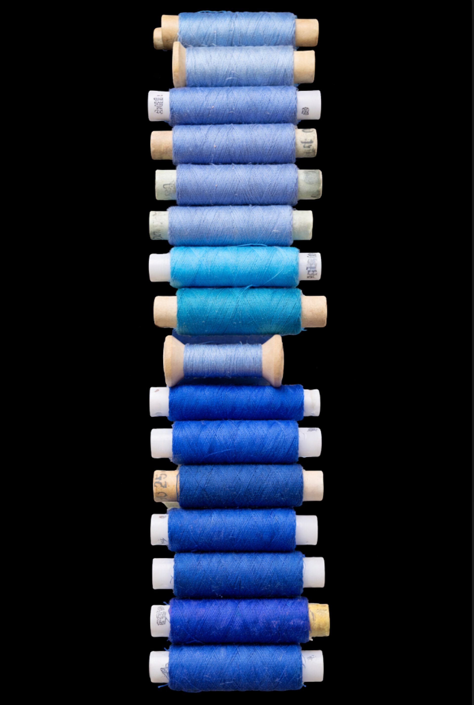 a close up of a bunch of blue objects