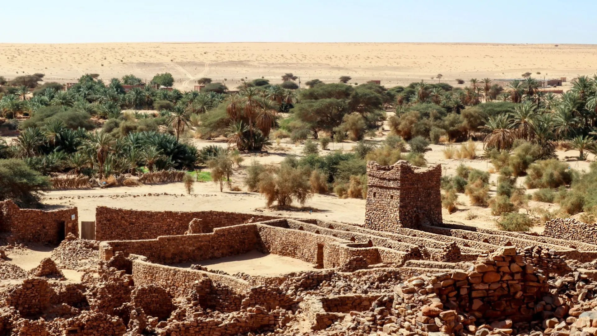 an abstract photo of a curved building with a blue sky in the background
