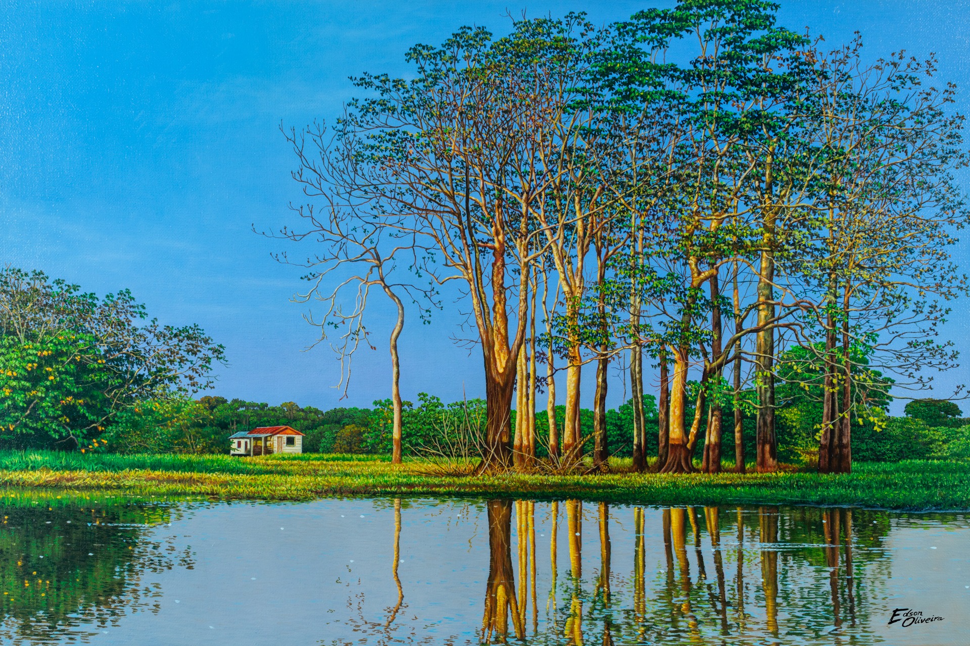 an abstract photo of a curved building with a blue sky in the background