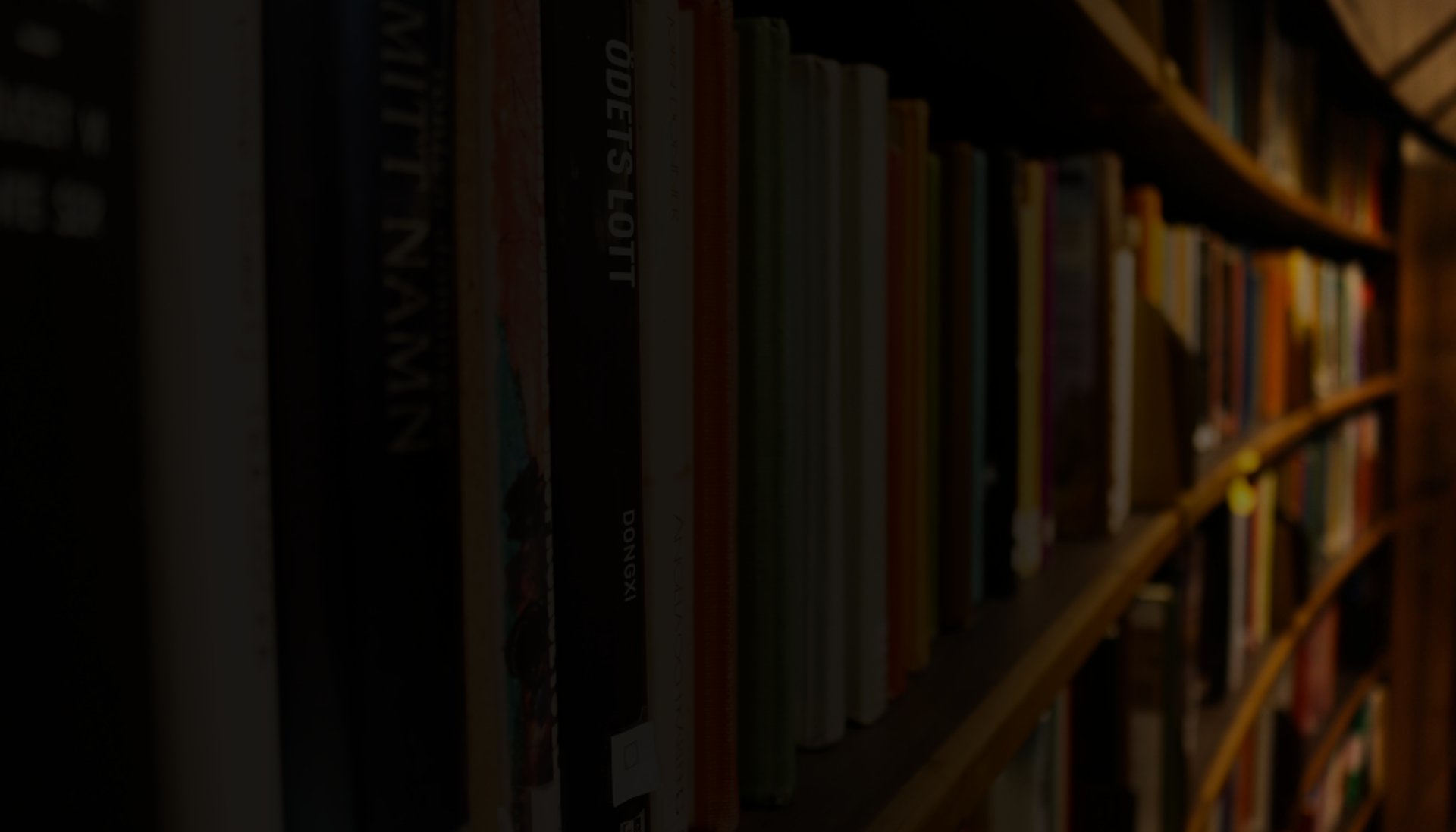 woman holding dried flower