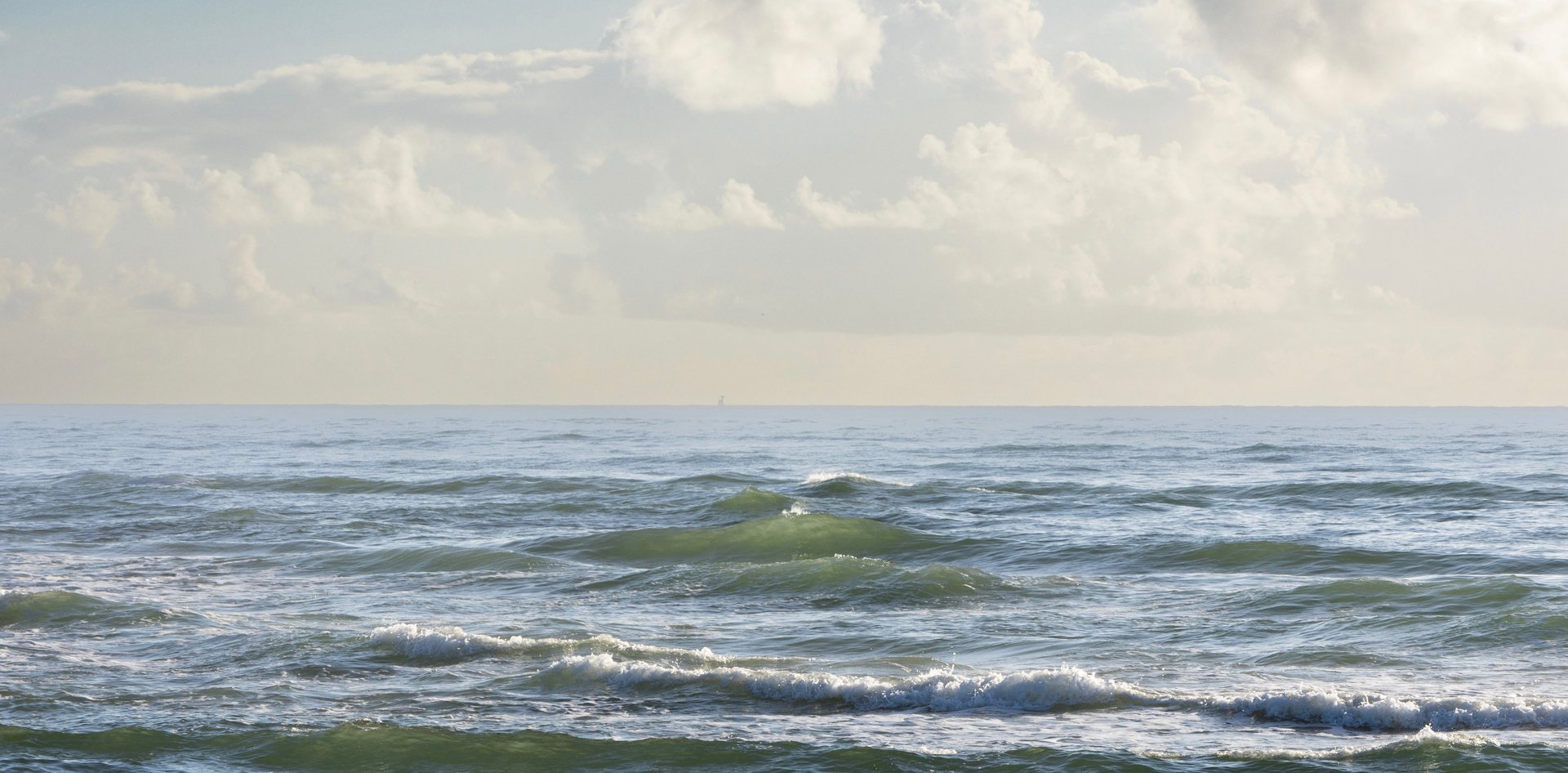 a close up of a black and brown abstract painting