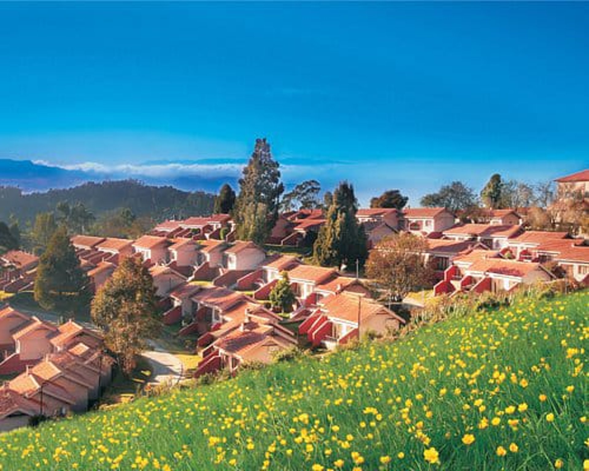 black and white bed linen