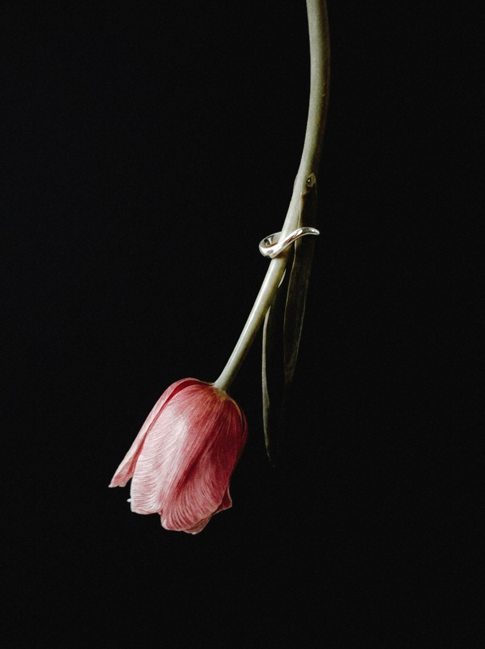 black and white bed linen