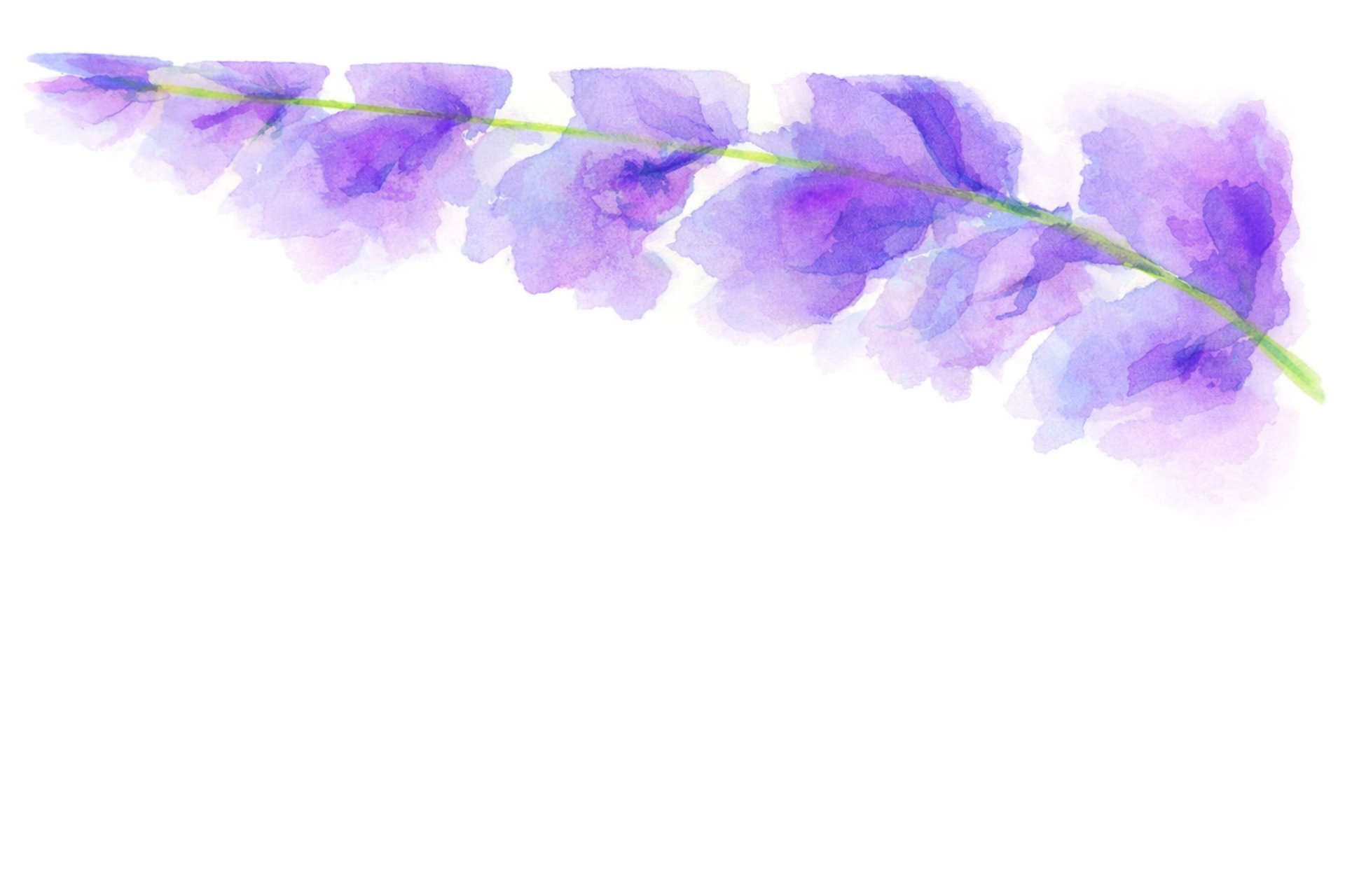 couple wearing silver-colored rings