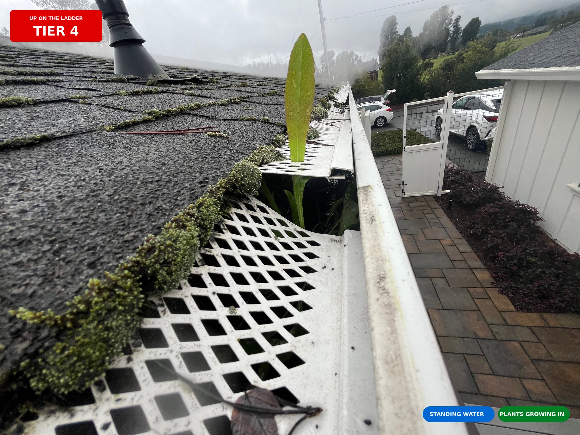 mountain range under blue sky
