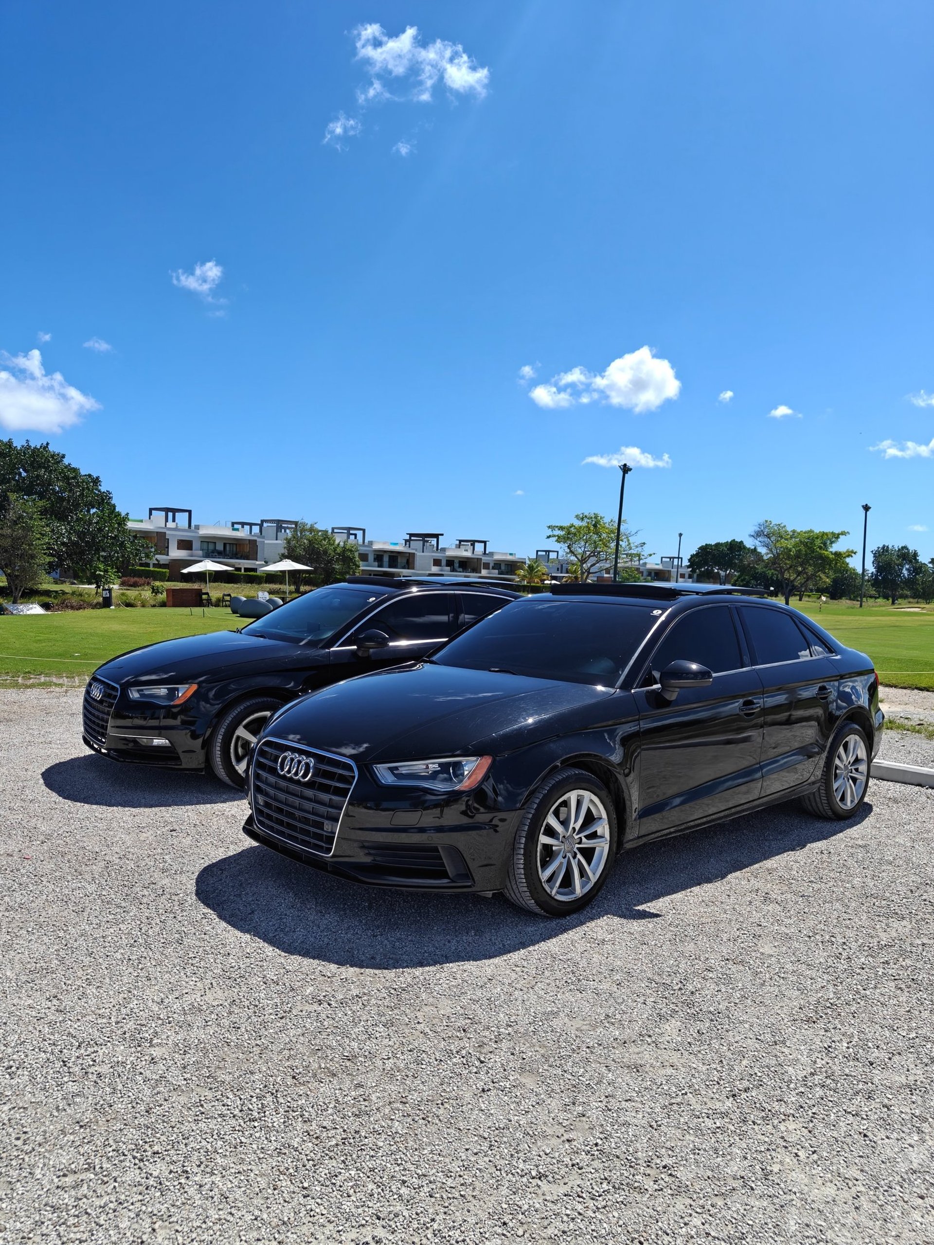 black and white bed linen