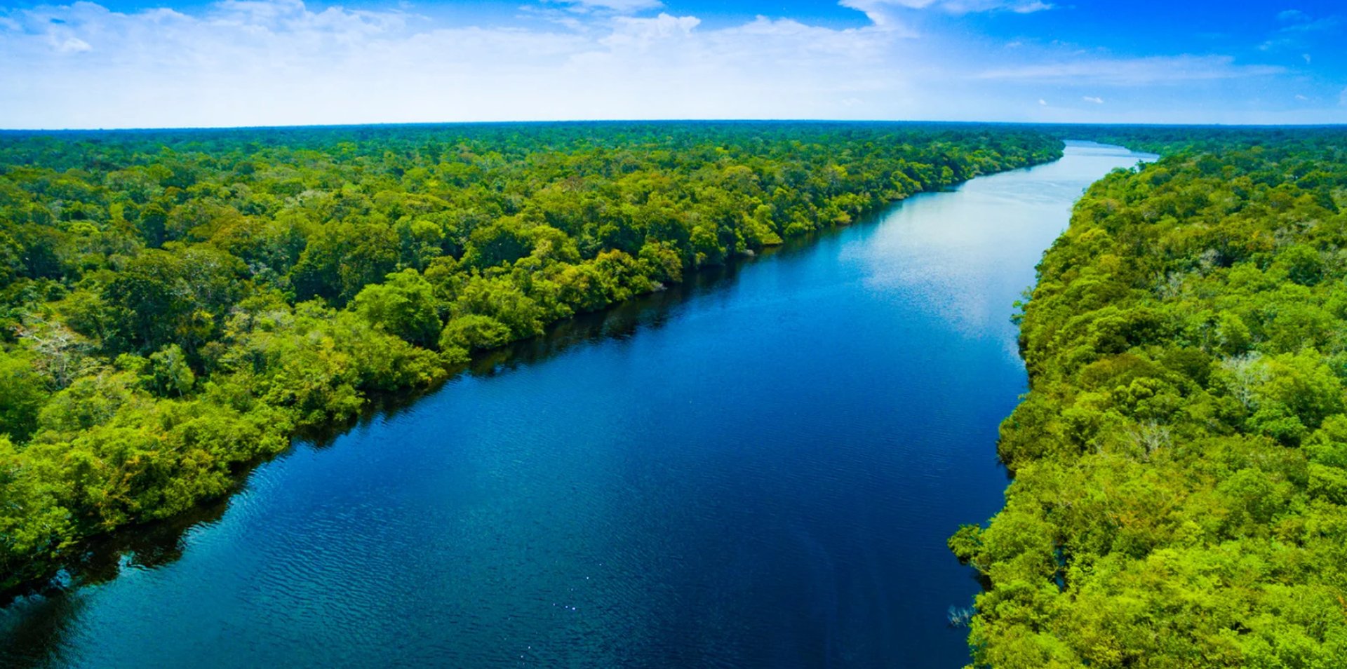 A shallow stream flows over rocks in a forest.
