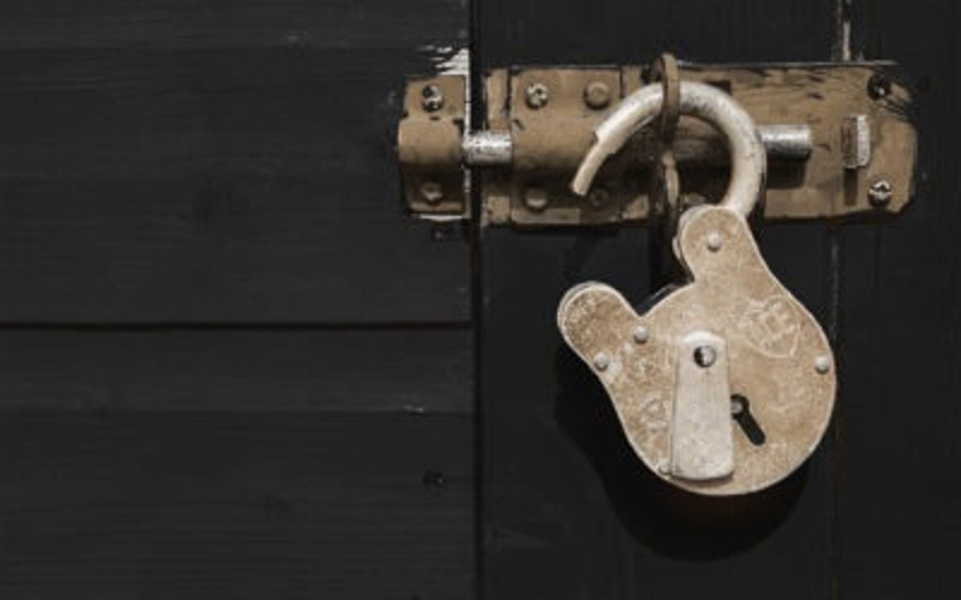 a close up of a black and brown abstract painting