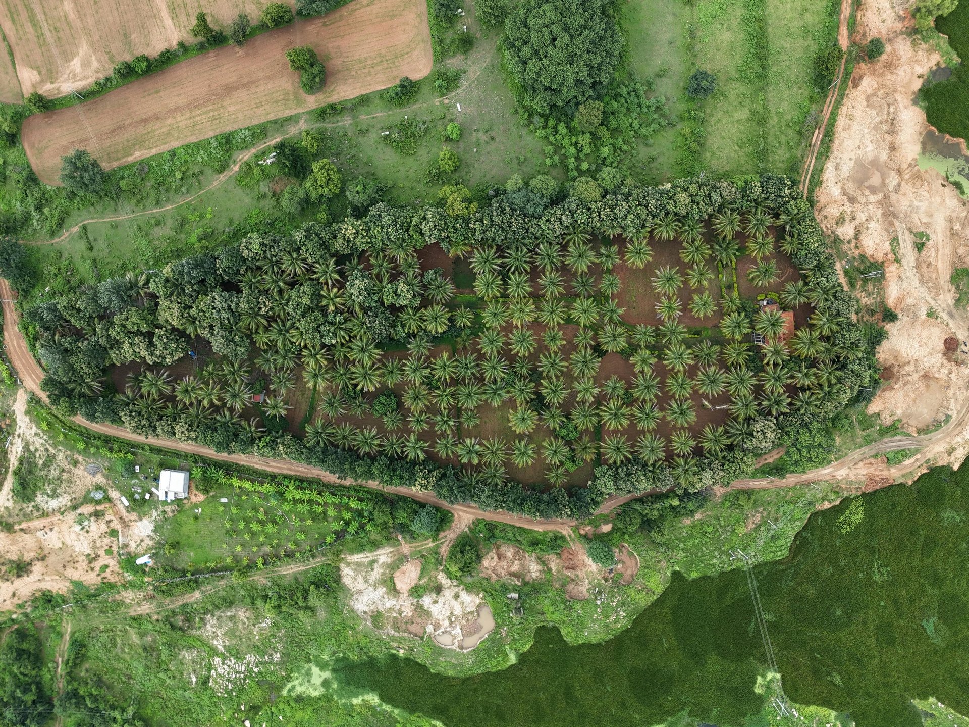 black and white bed linen
