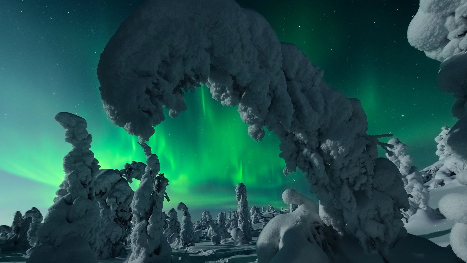 Northern Lights above Riisitunturi during a Local Guide Aurora Hunt with 100% Aurora Guarantee from Rovaniemi