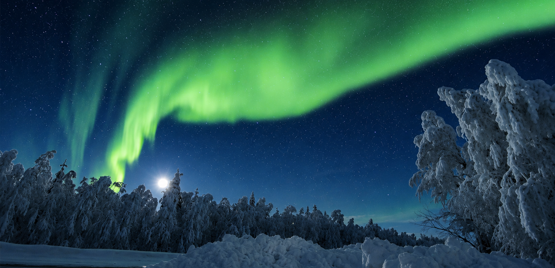 Spectacular green Aurora Borealis illuminating a snowy Arctic landscape near Rovaniemi, Finnish Lapland.
