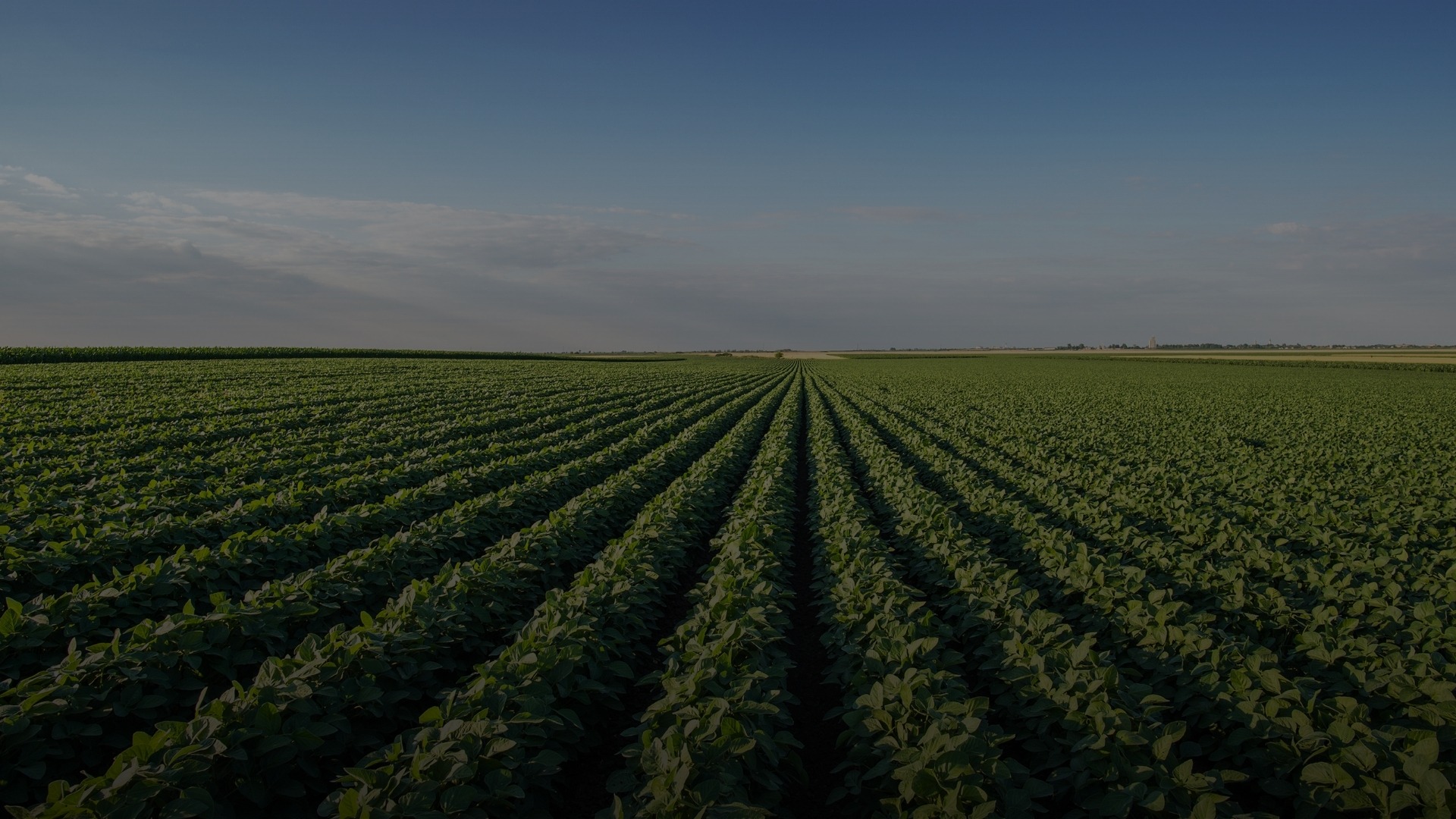 mountain range under blue sky