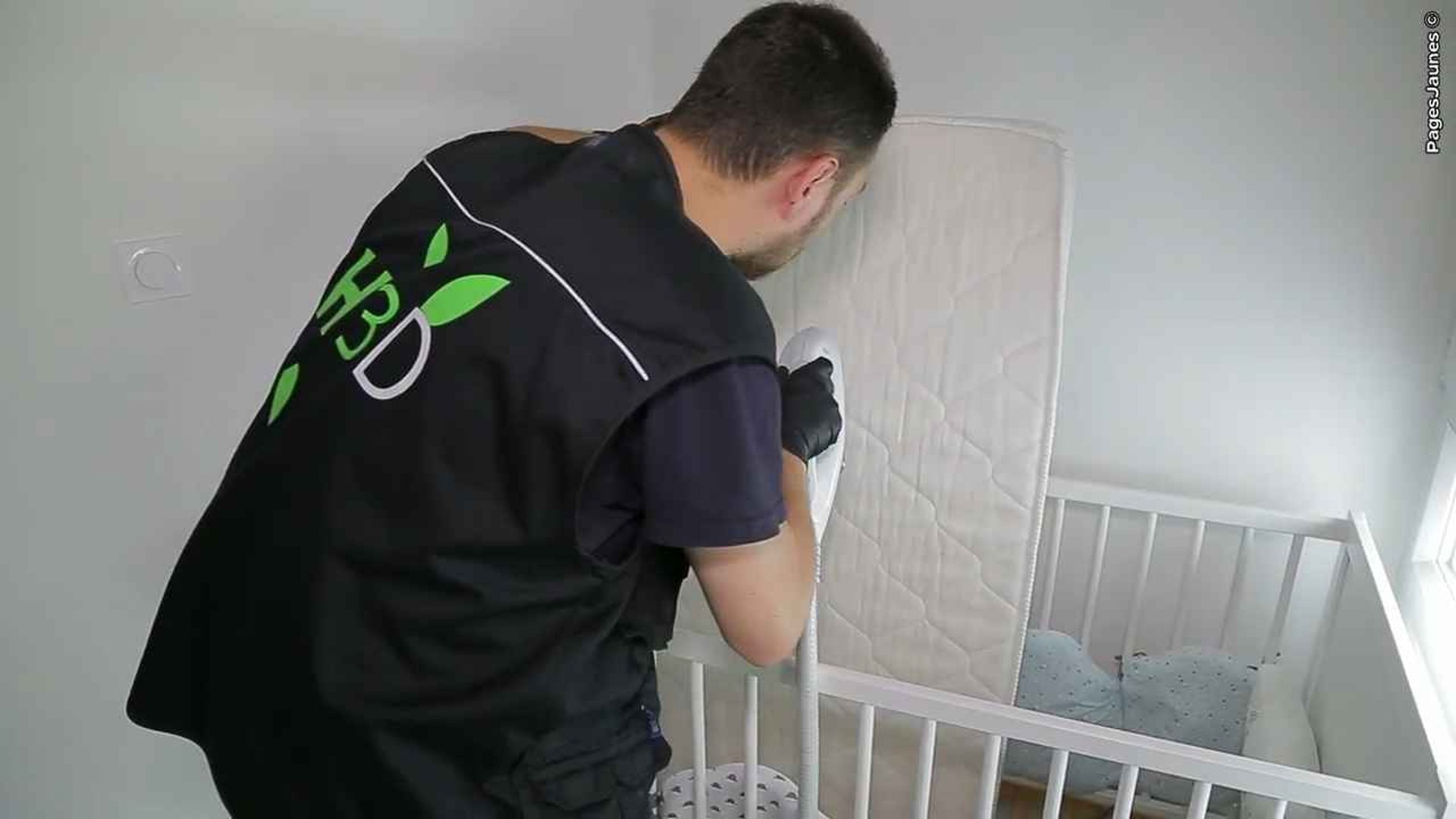 traitement des punaises de lit a Nice