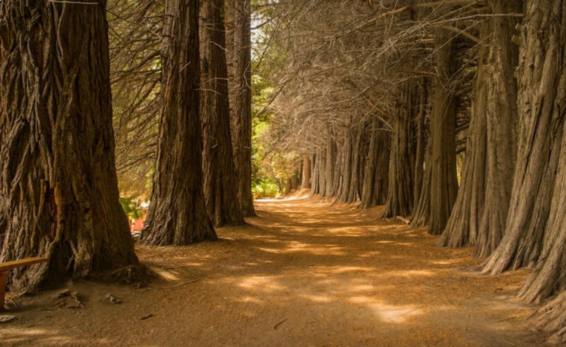 gray computer monitor