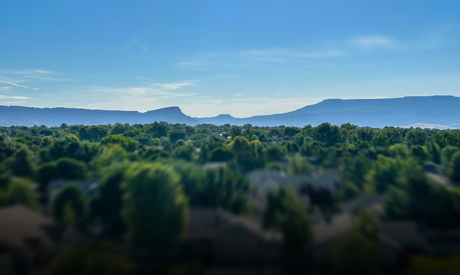 Scenic view of the residential tree canopy in Grand Junction CO with the Bookcliffs mountain skyline.