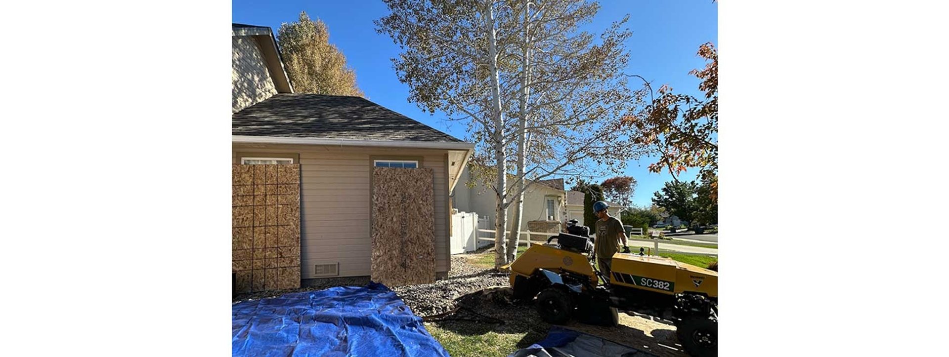 Cambium Tree Solutions using a Vermeer stump grinder with protective window shields for a clean job in Grand Junction.